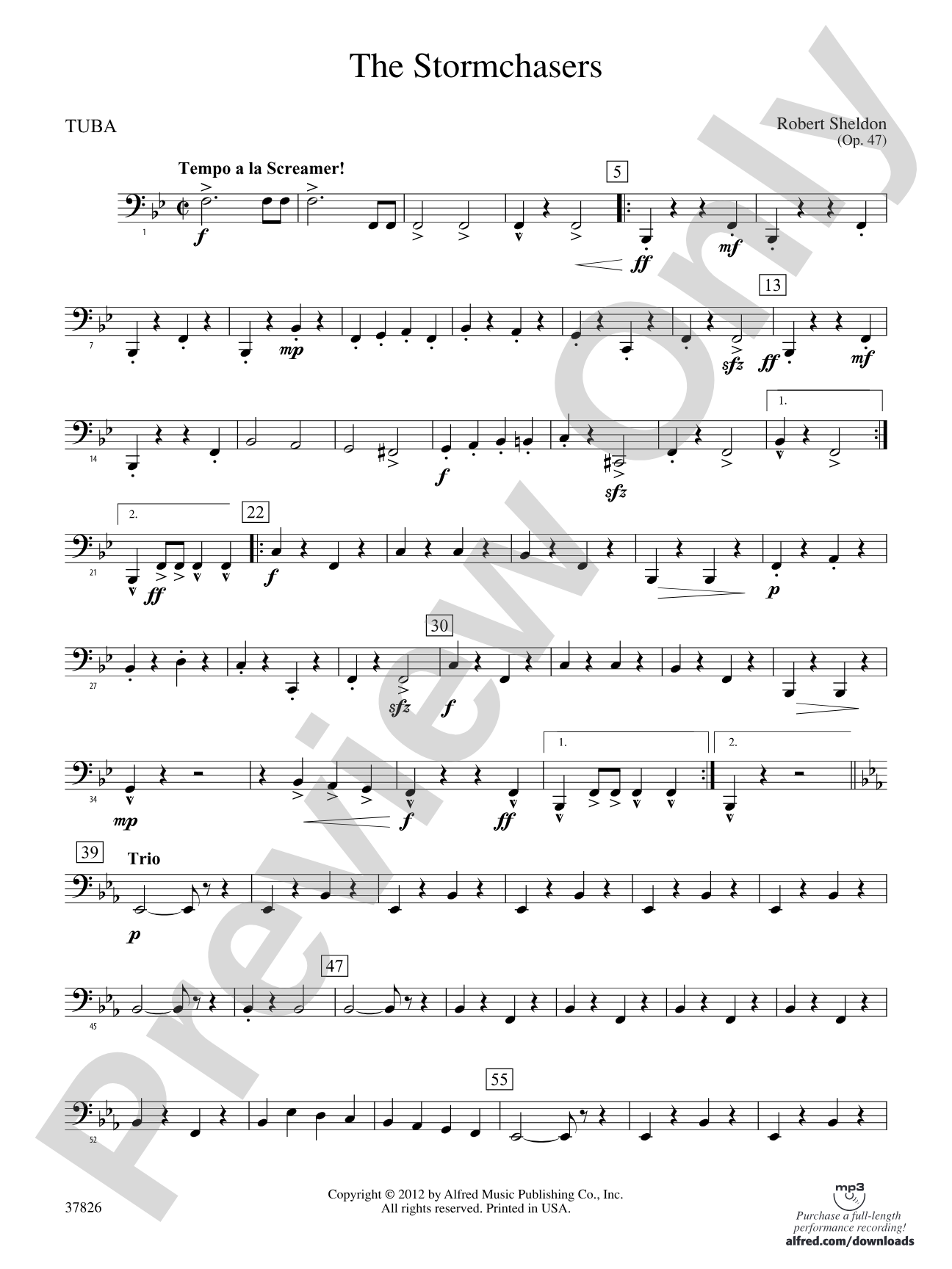 The Stormchasers: Tuba