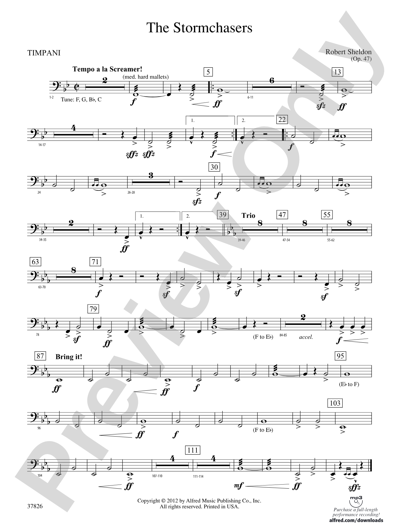The Stormchasers: Timpani