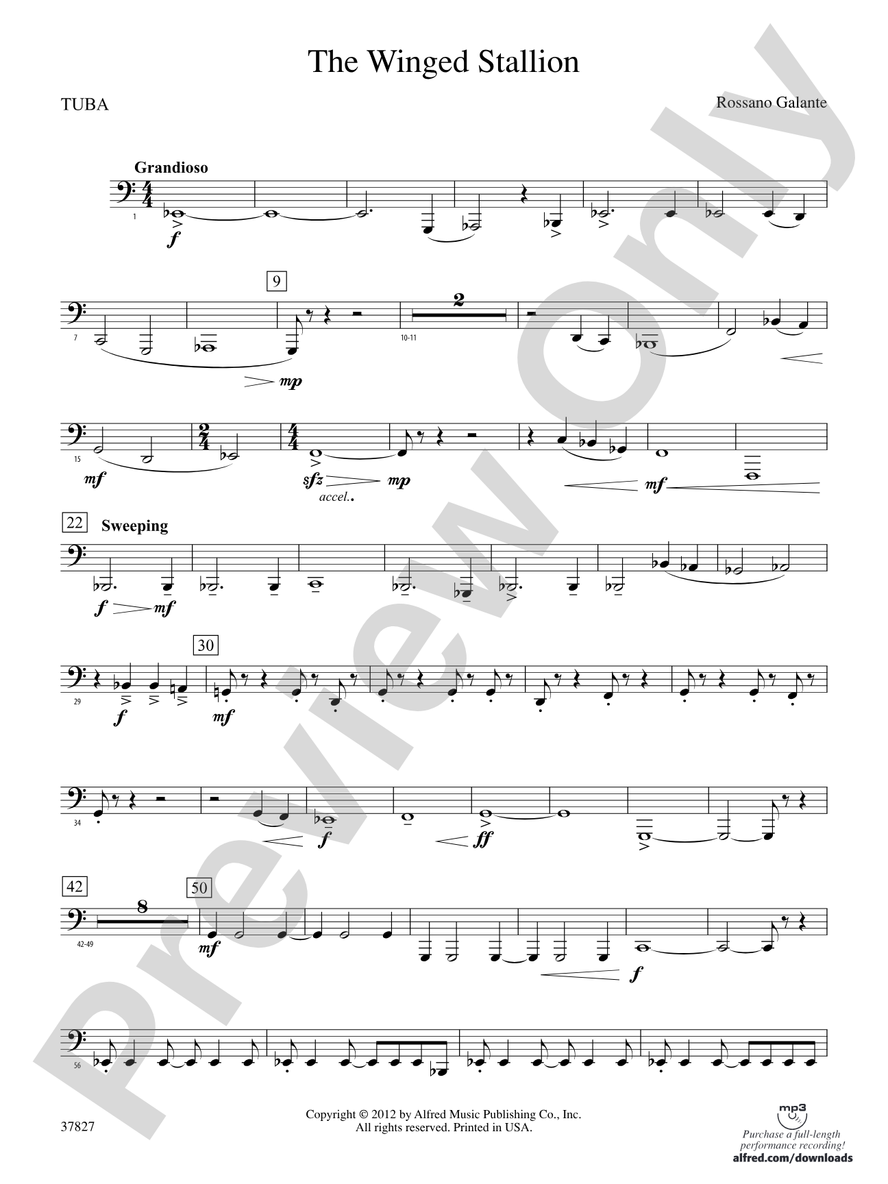 The Winged Stallion: Tuba