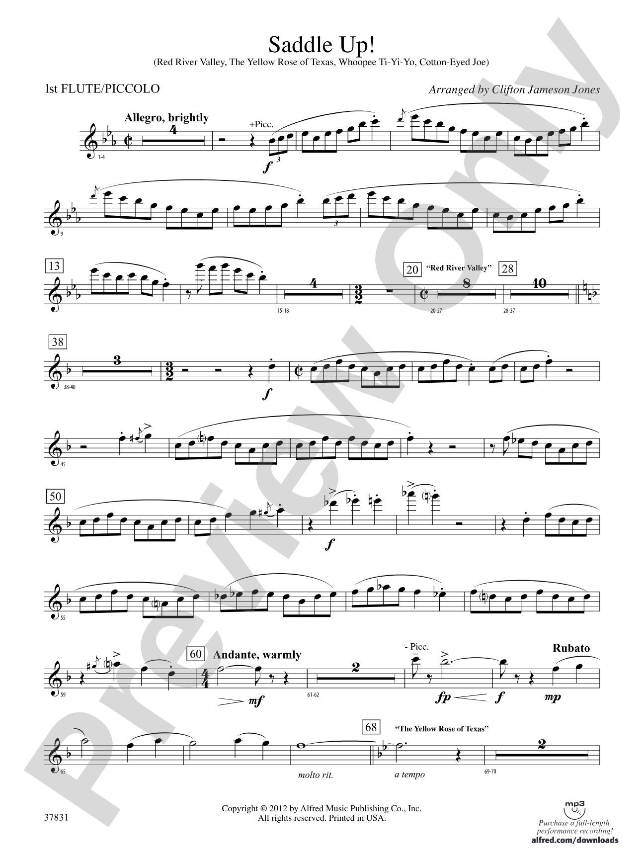 Saddle Up!: Flute