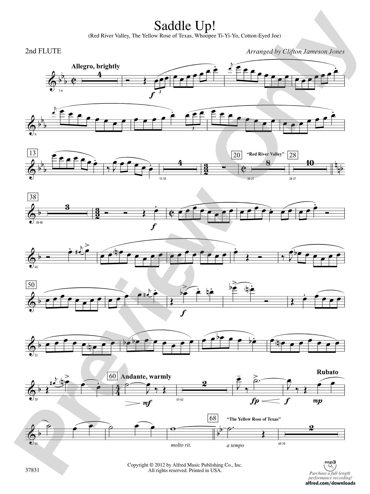 Saddle Up!: 2nd Flute