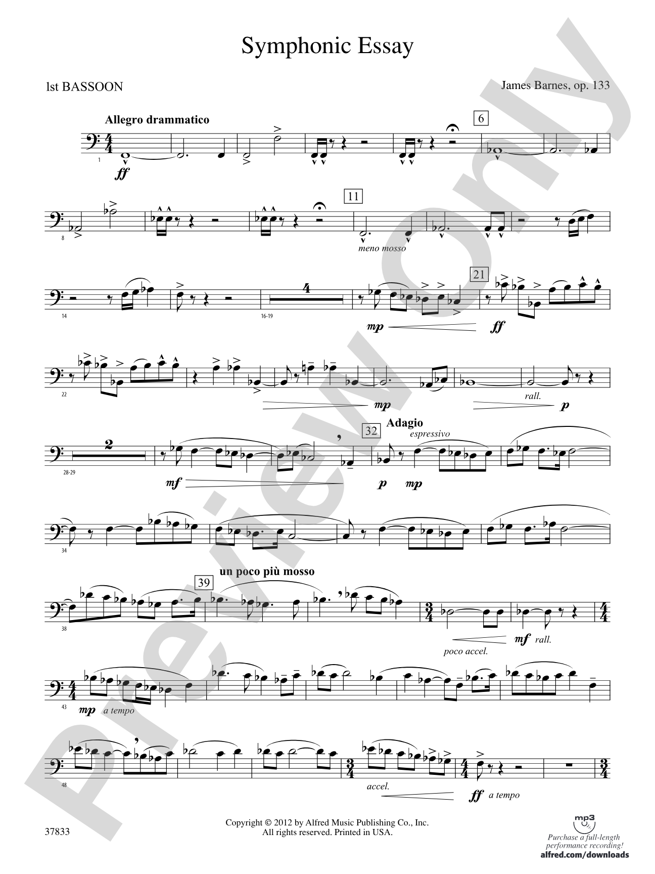 Symphonic Essay: Bassoon