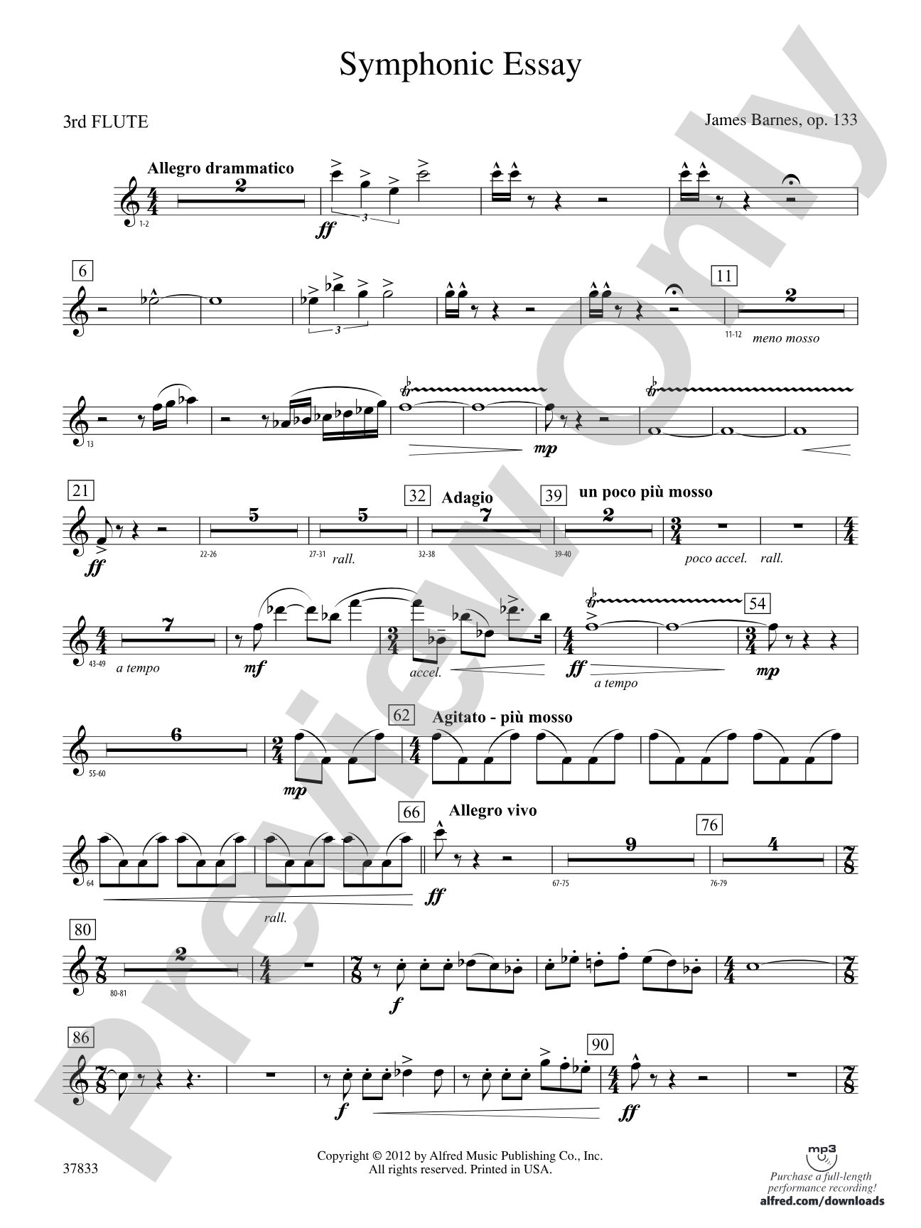 Symphonic Essay: 3rd Flute