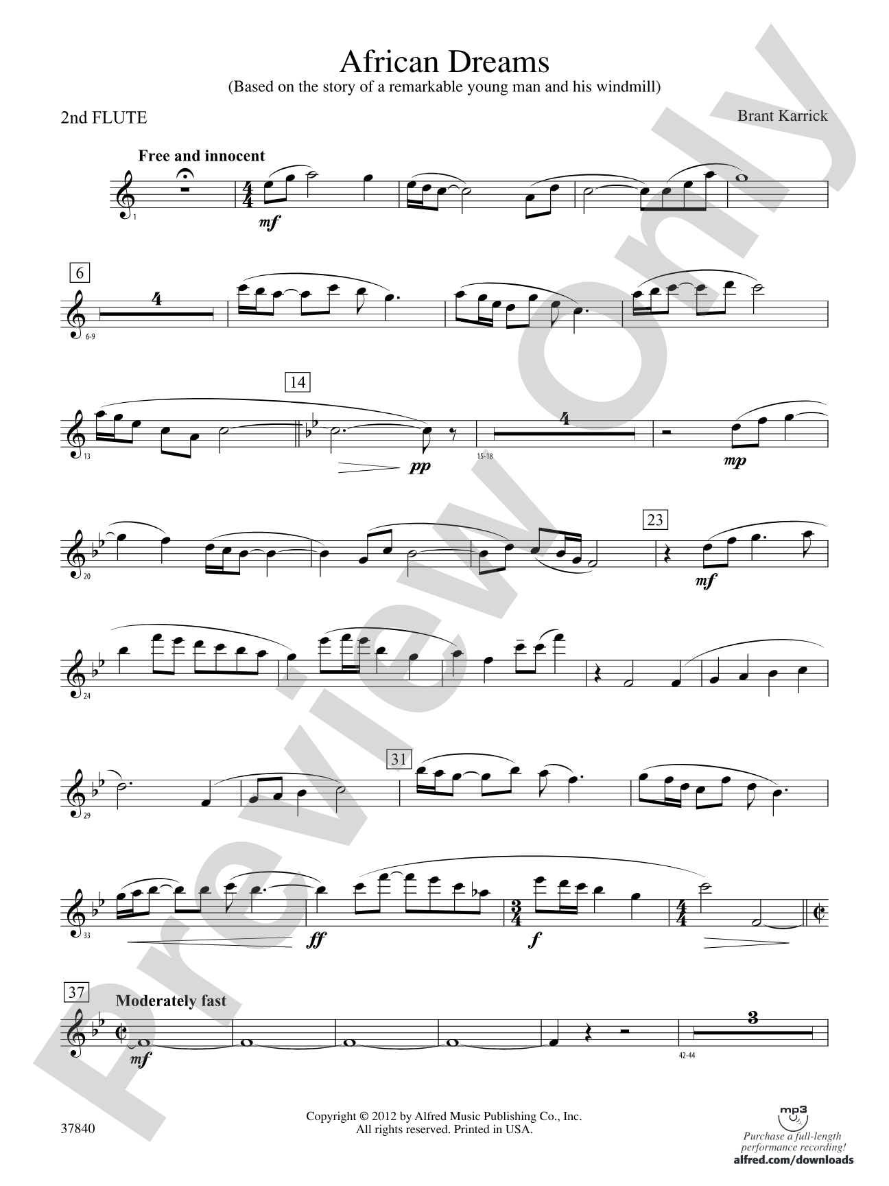 African Dreams: 2nd Flute
