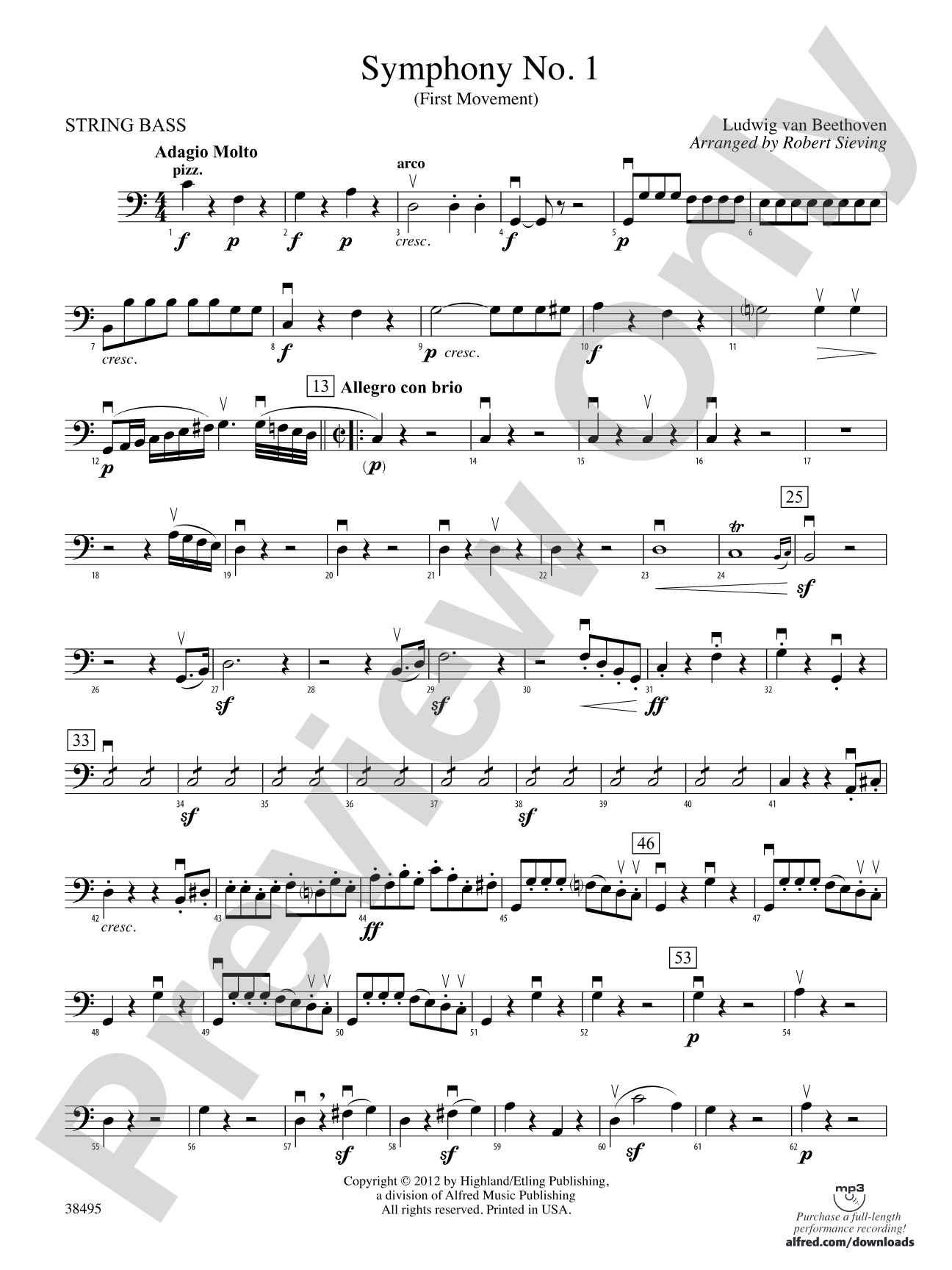 Symphony No. 1: String Bass