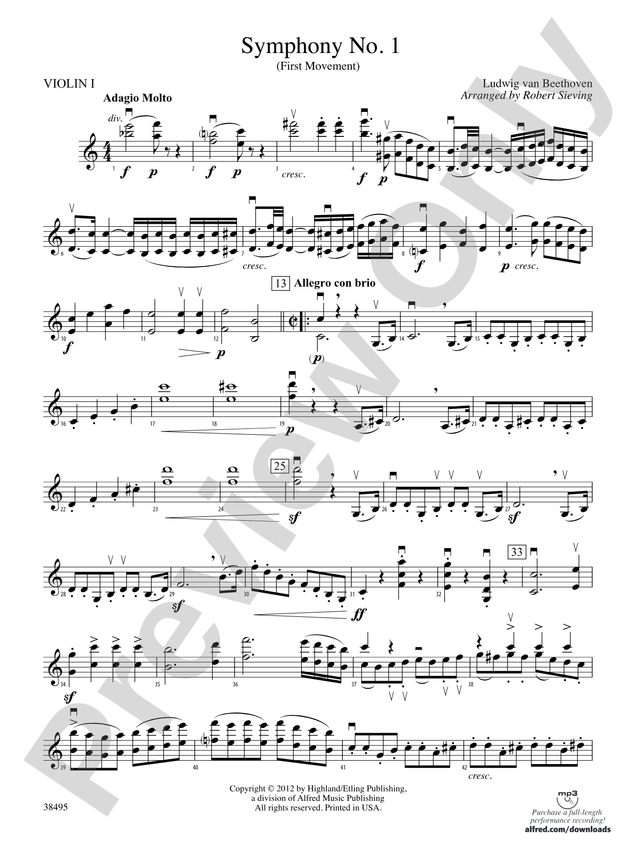 Symphony No. 1: 1st Violin