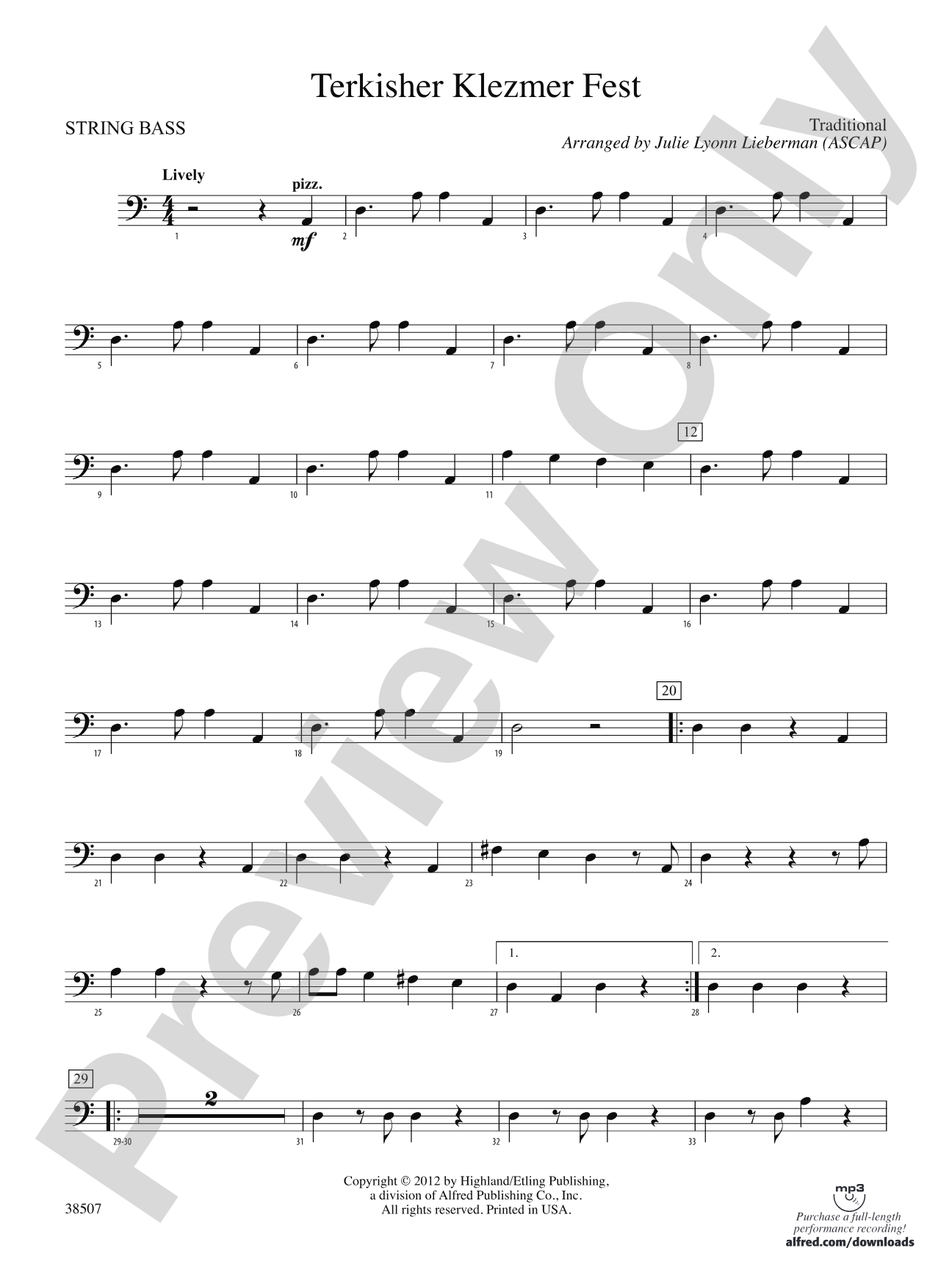 Terkisher Klezmer Fest: String Bass