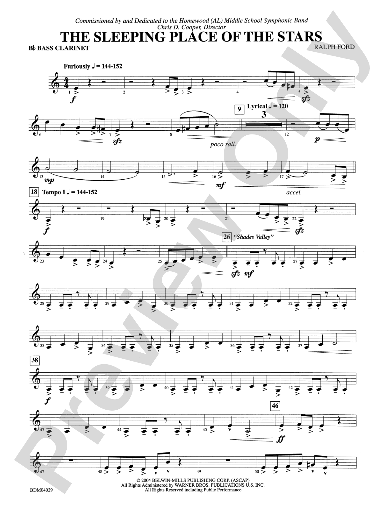 The Sleeping Place of the Stars: B-flat Bass Clarinet