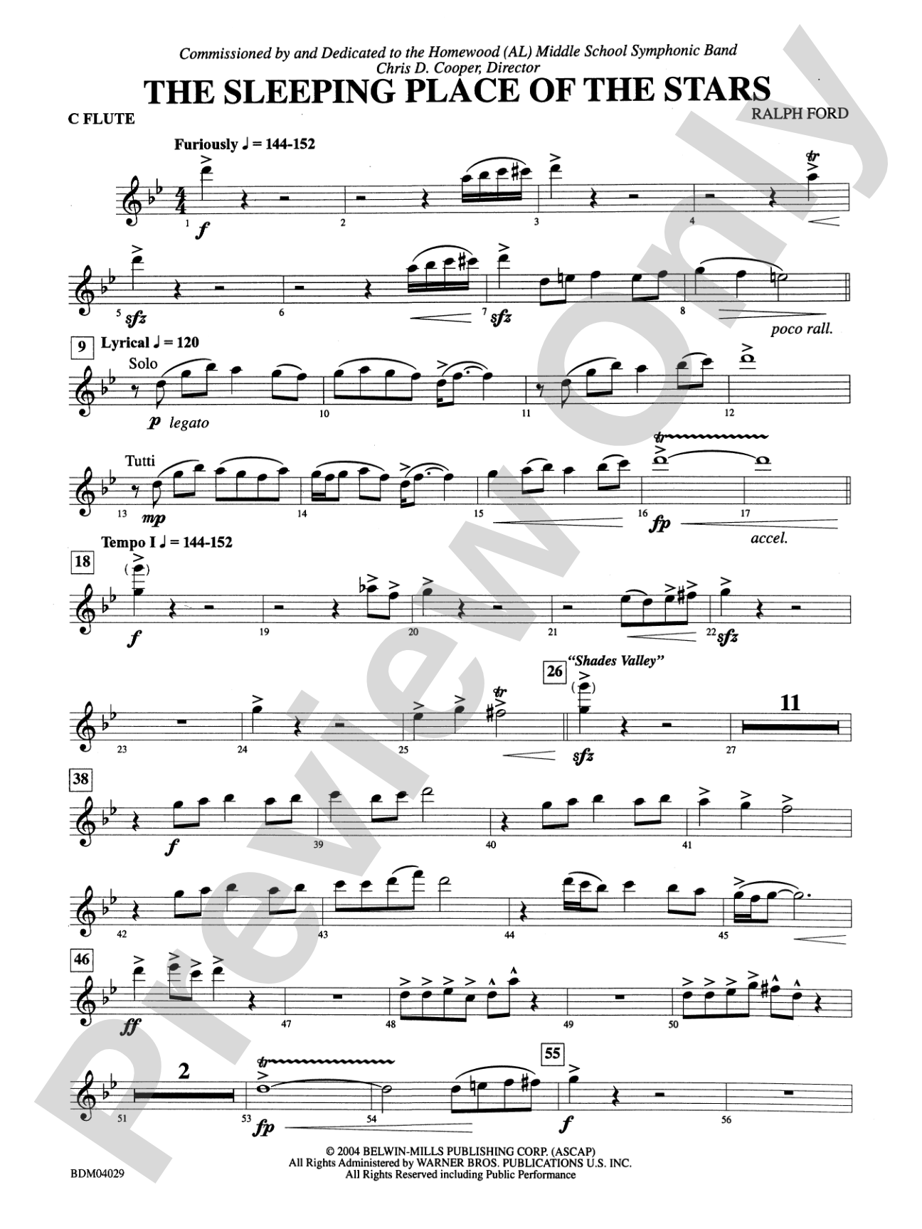 The Sleeping Place of the Stars: Flute