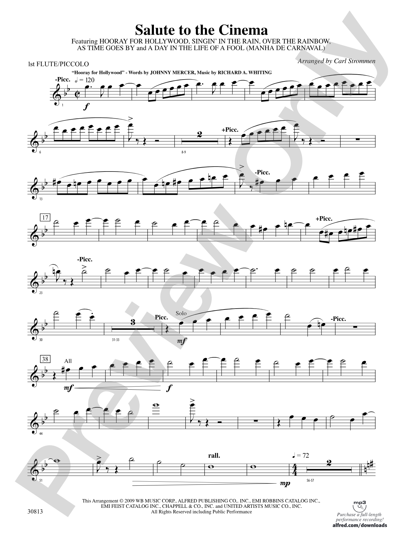 Salute to the Cinema: Flute