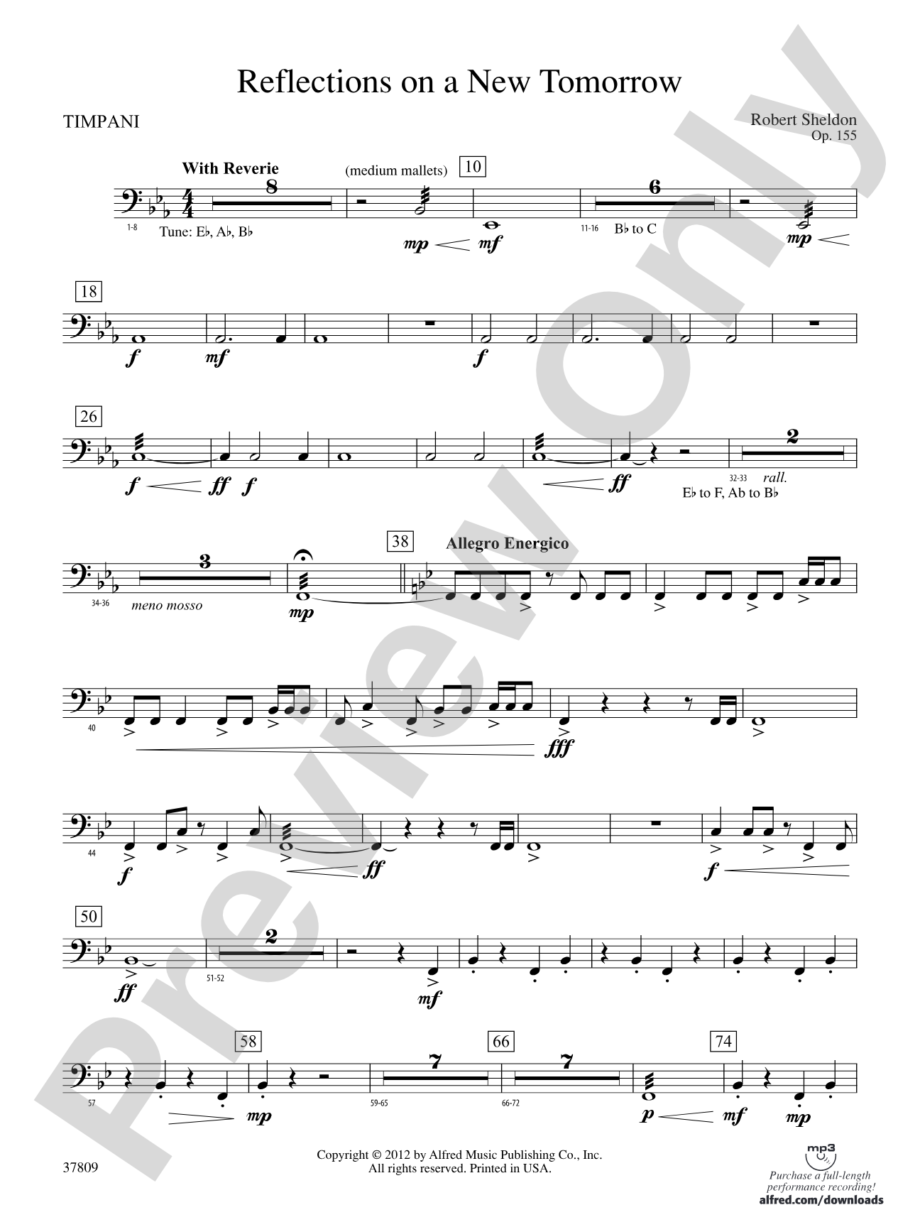Reflections on a New Tomorrow: Timpani