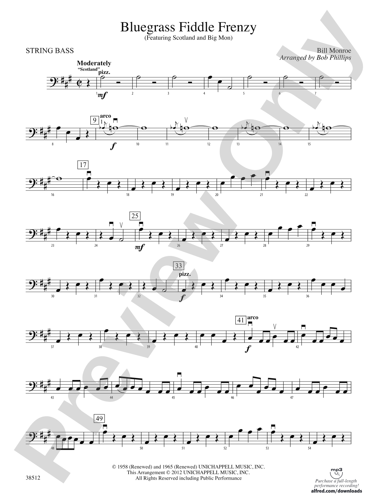 Bluegrass Fiddle Frenzy: String Bass