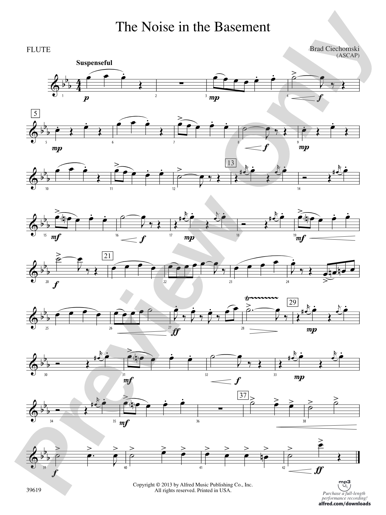 The Noise in the Basement: Flute