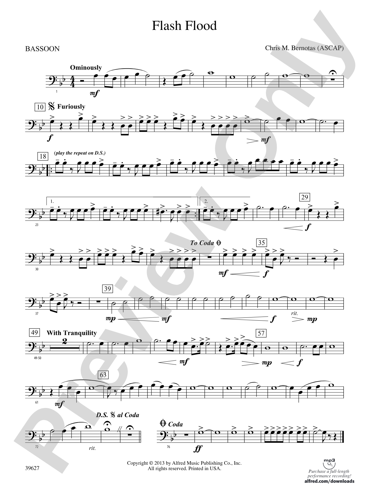 Flash Flood: Bassoon