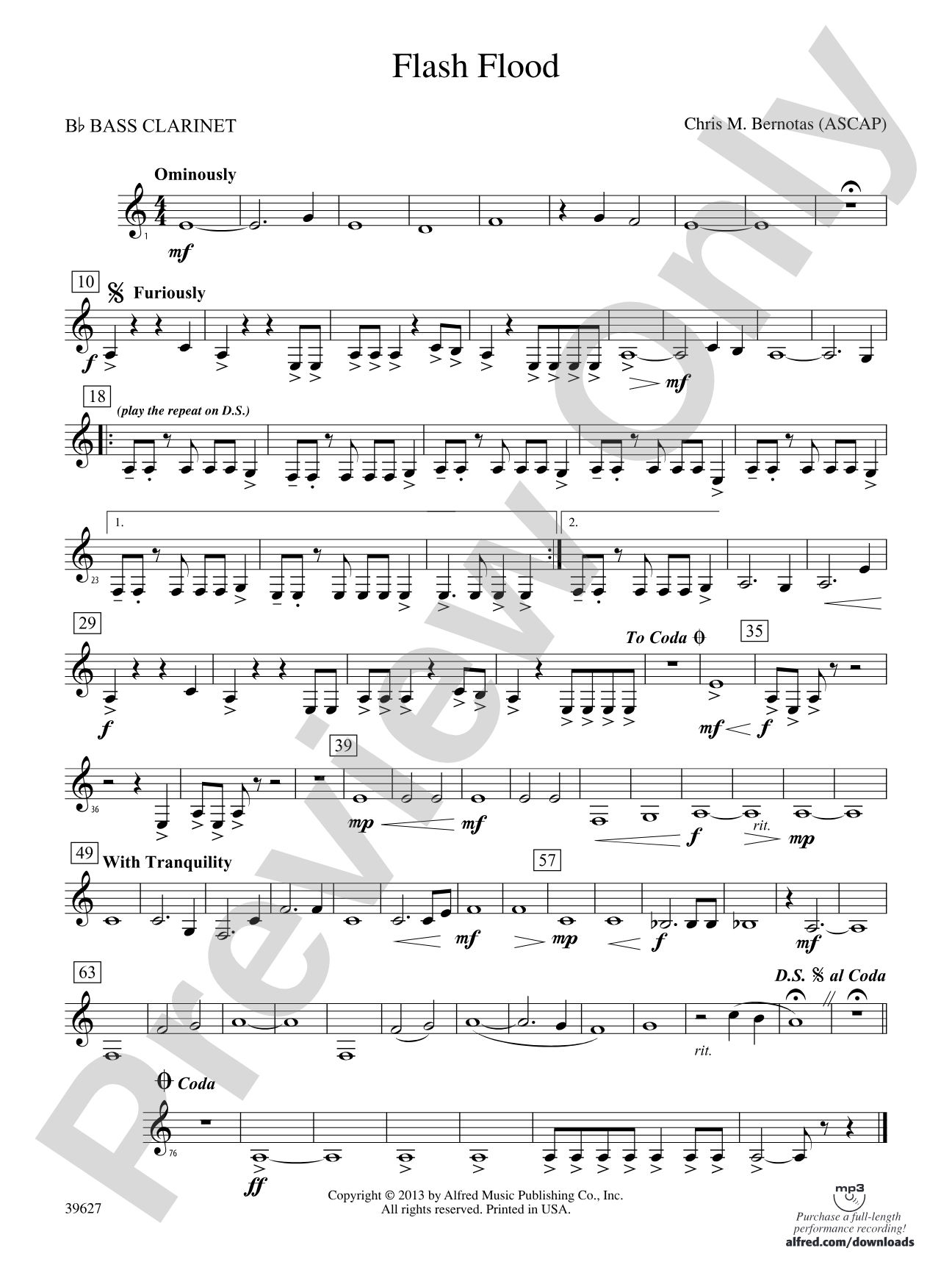 Flash Flood: B-flat Bass Clarinet