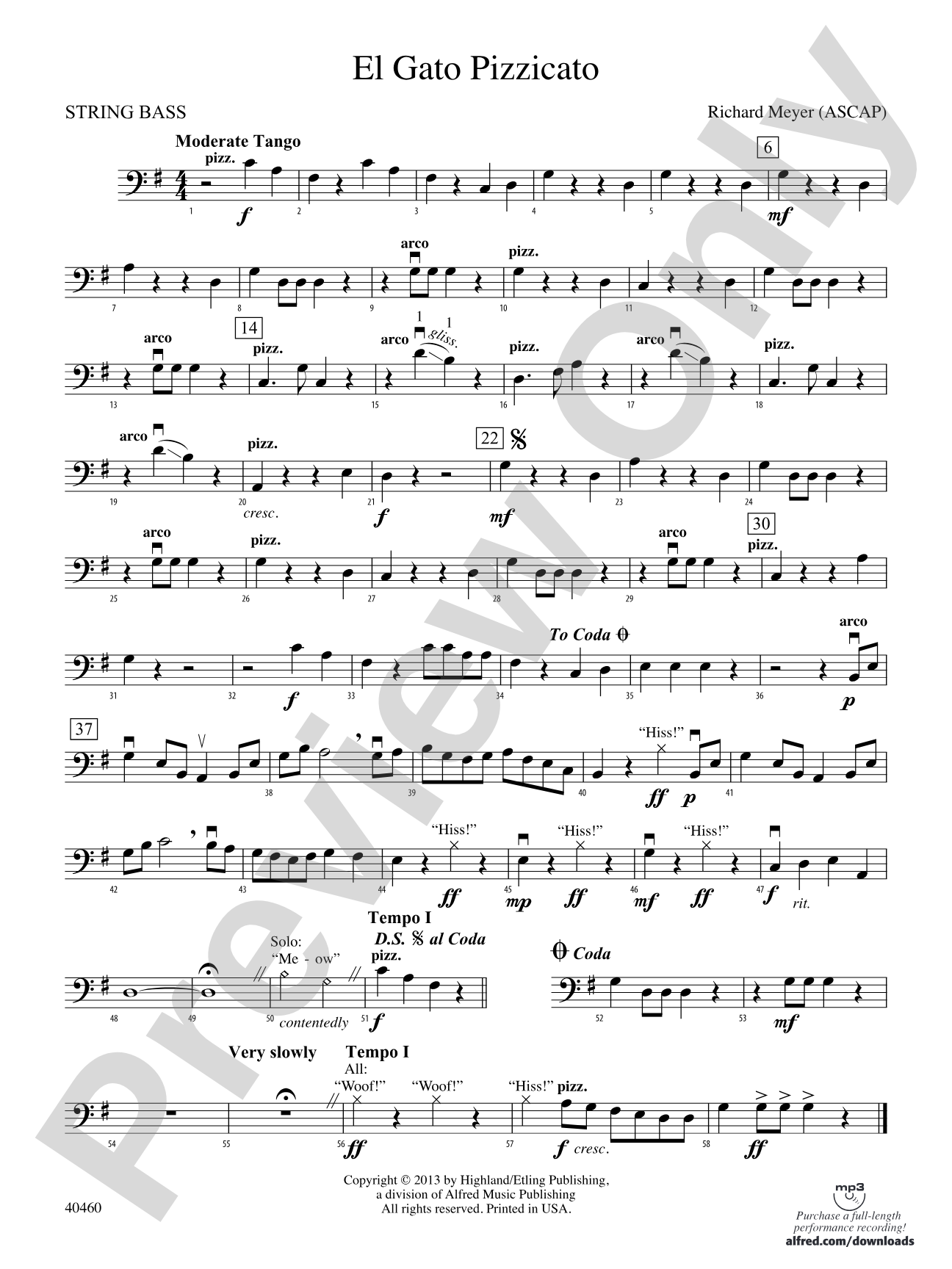 El Gato Pizzicato: String Bass