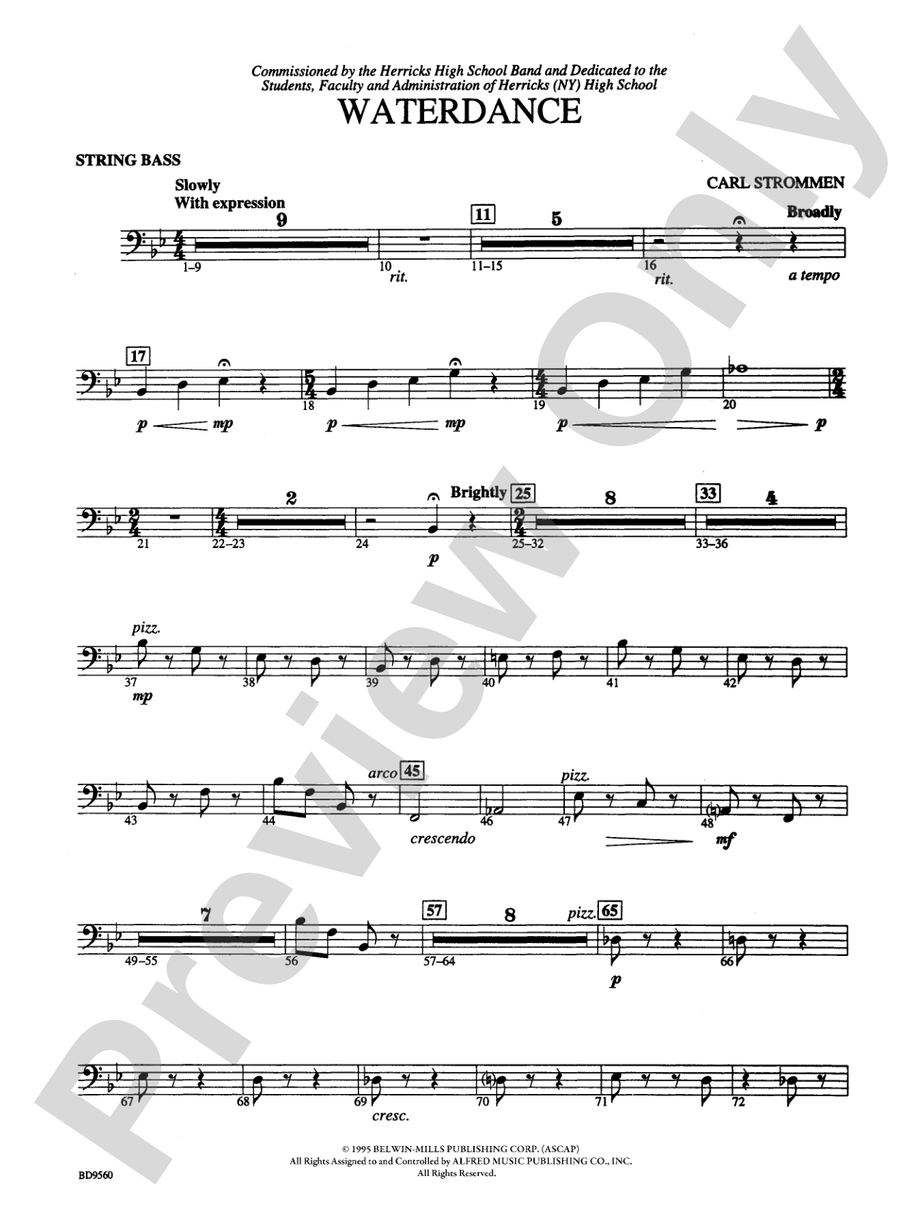 Waterdance: String Bass