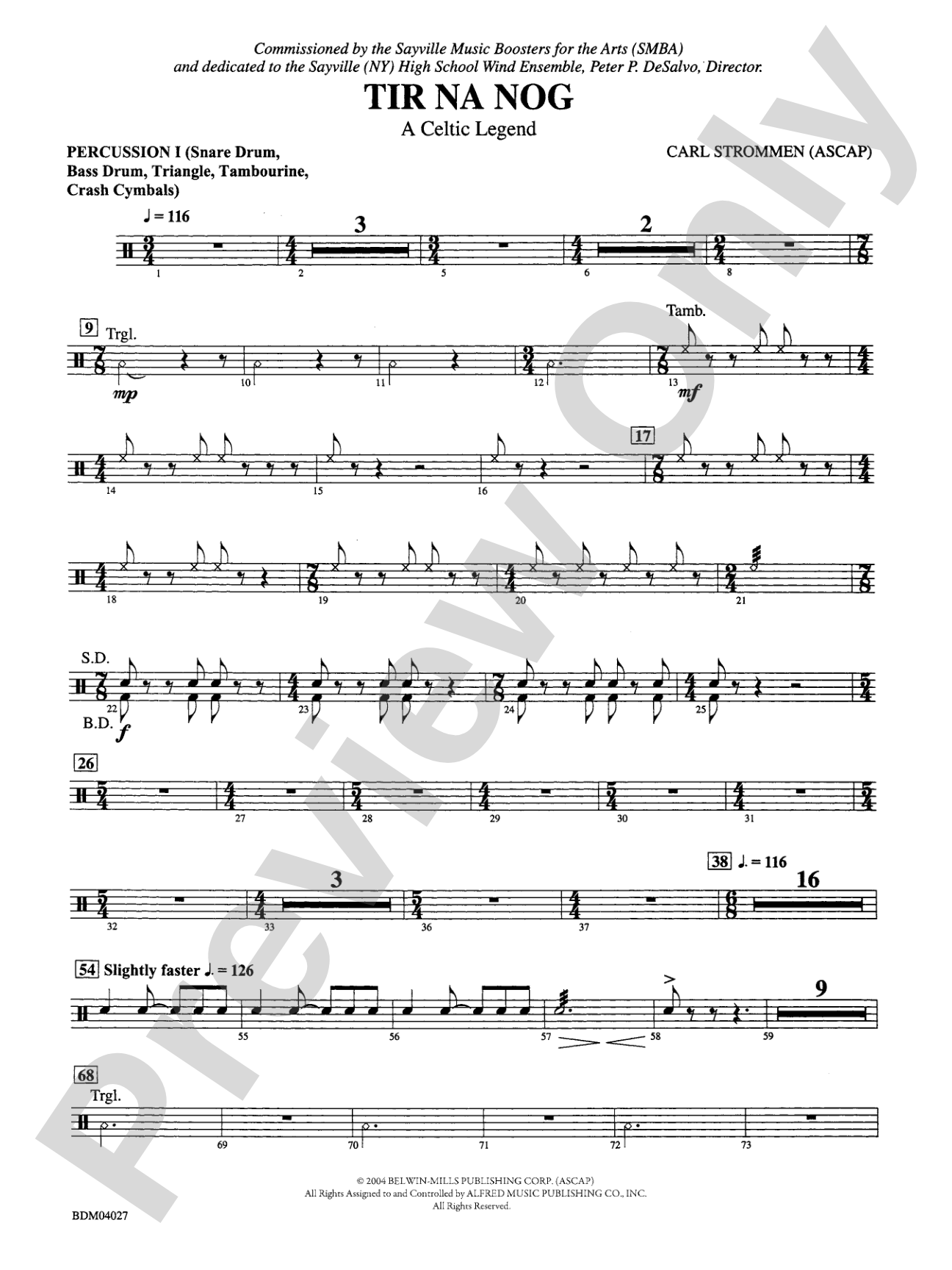 Tir Na Nog (A Celtic Legend): 1st Percussion