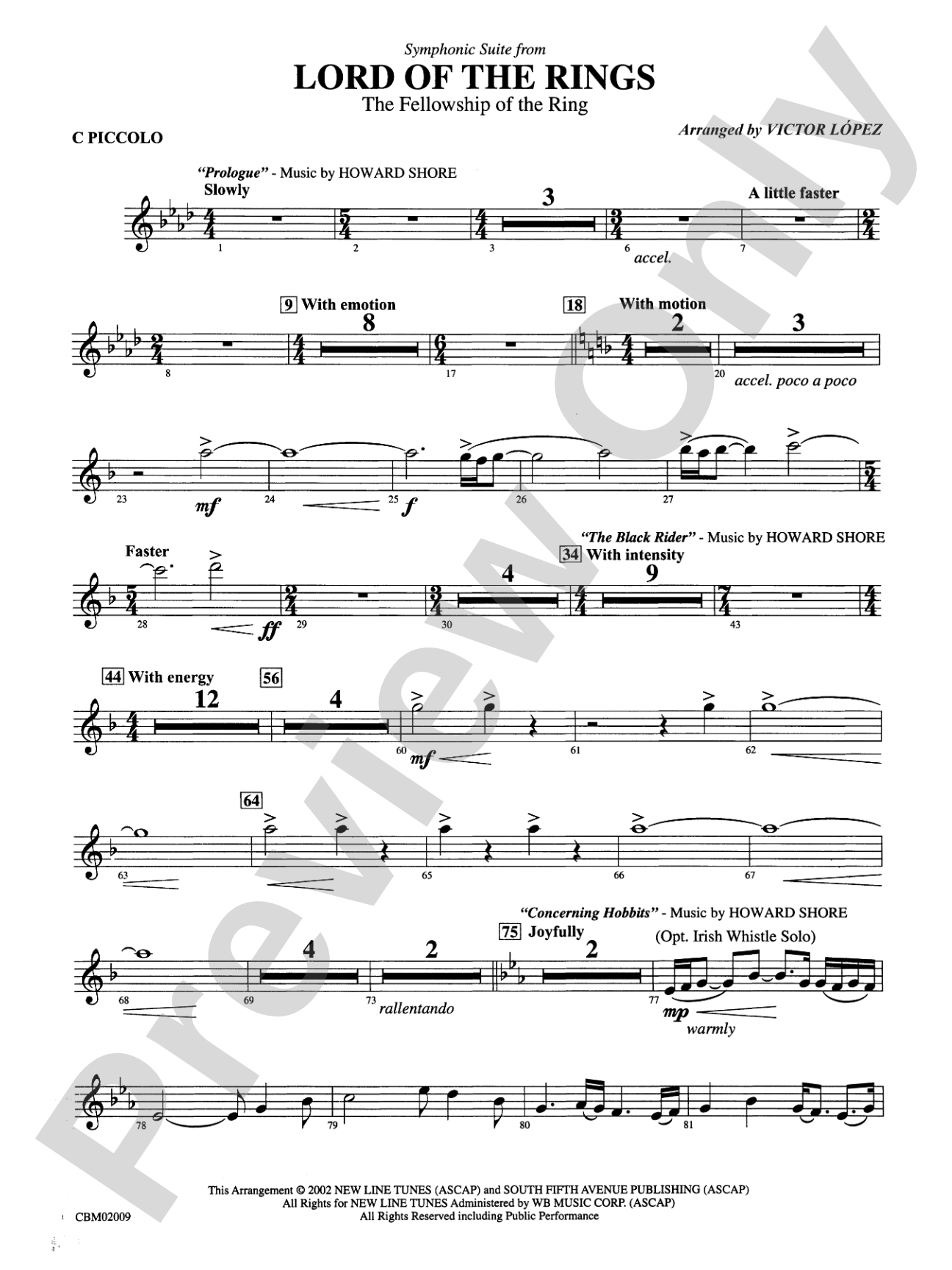 The Lord of the Rings: The Fellowship of the Ring, Symphonic Suite from: Piccolo