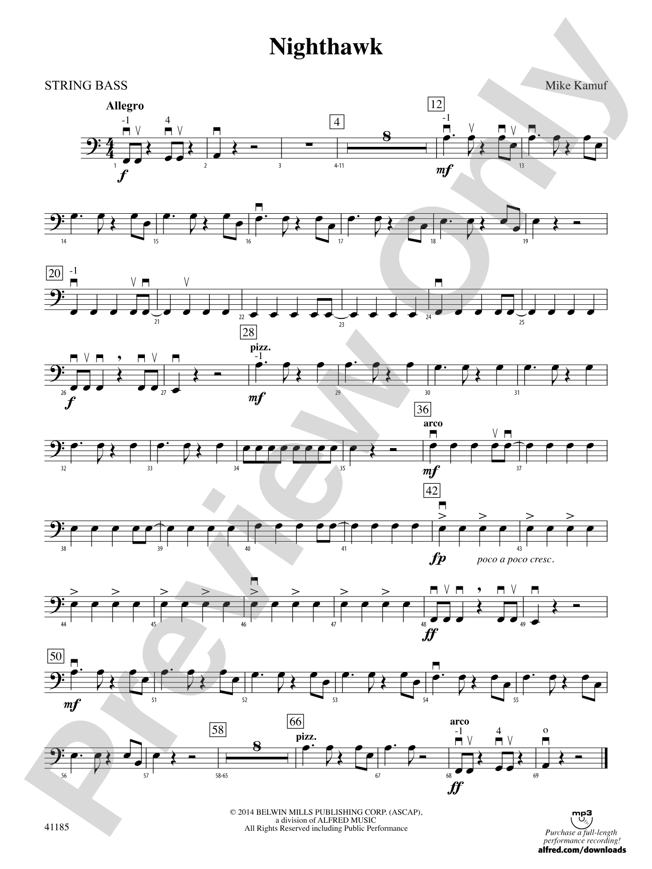 Nighthawk: String Bass