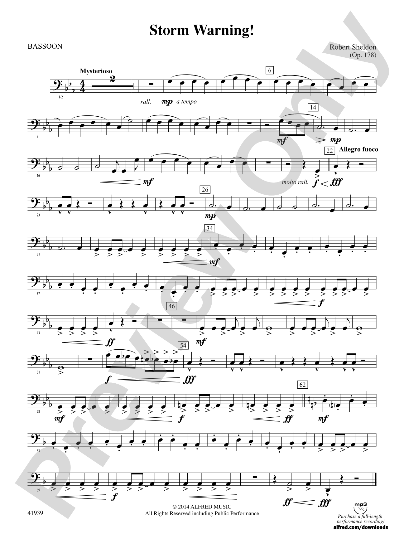 Storm Warning!: Bassoon