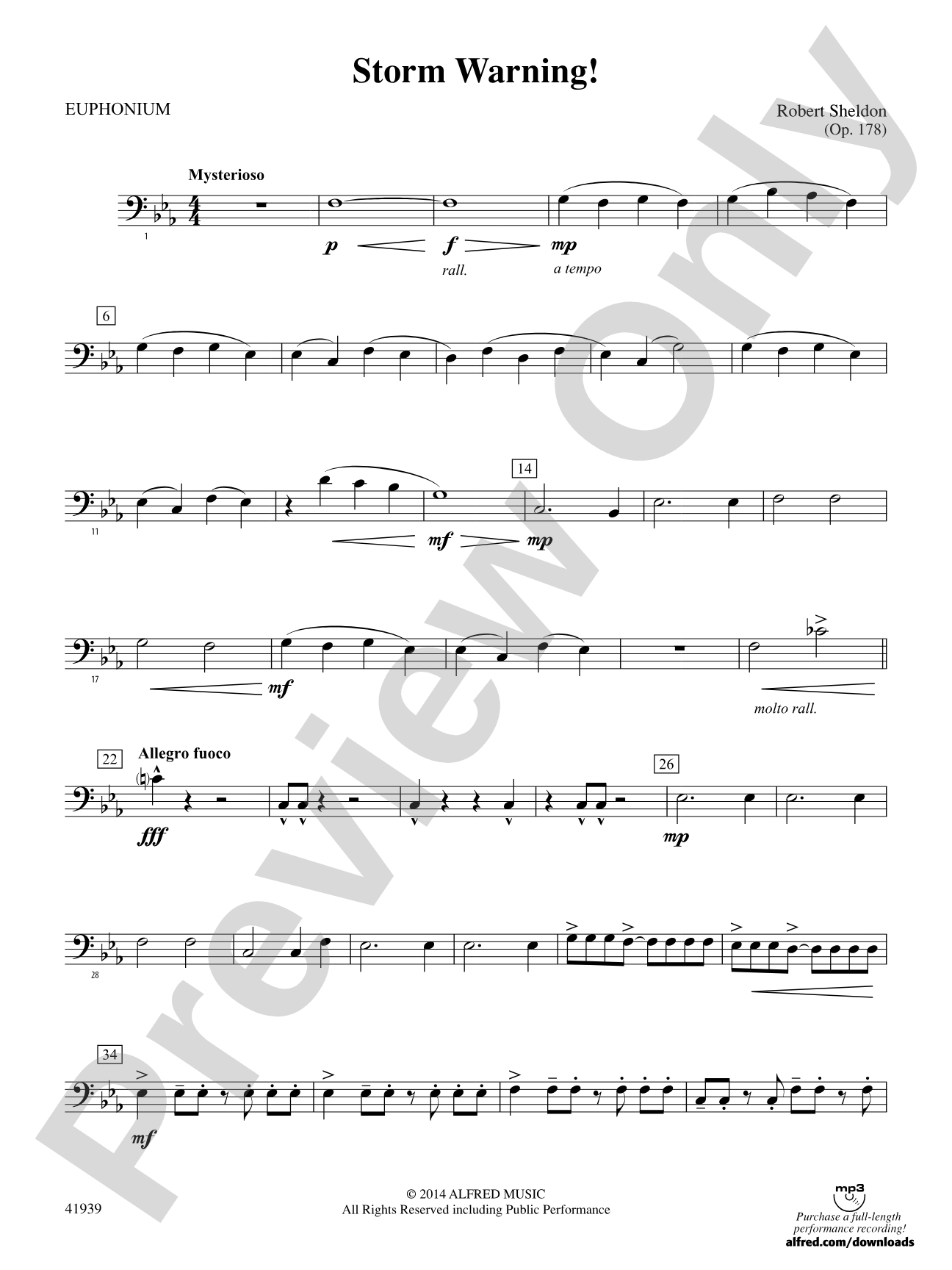 Storm Warning!: Baritone B.C.