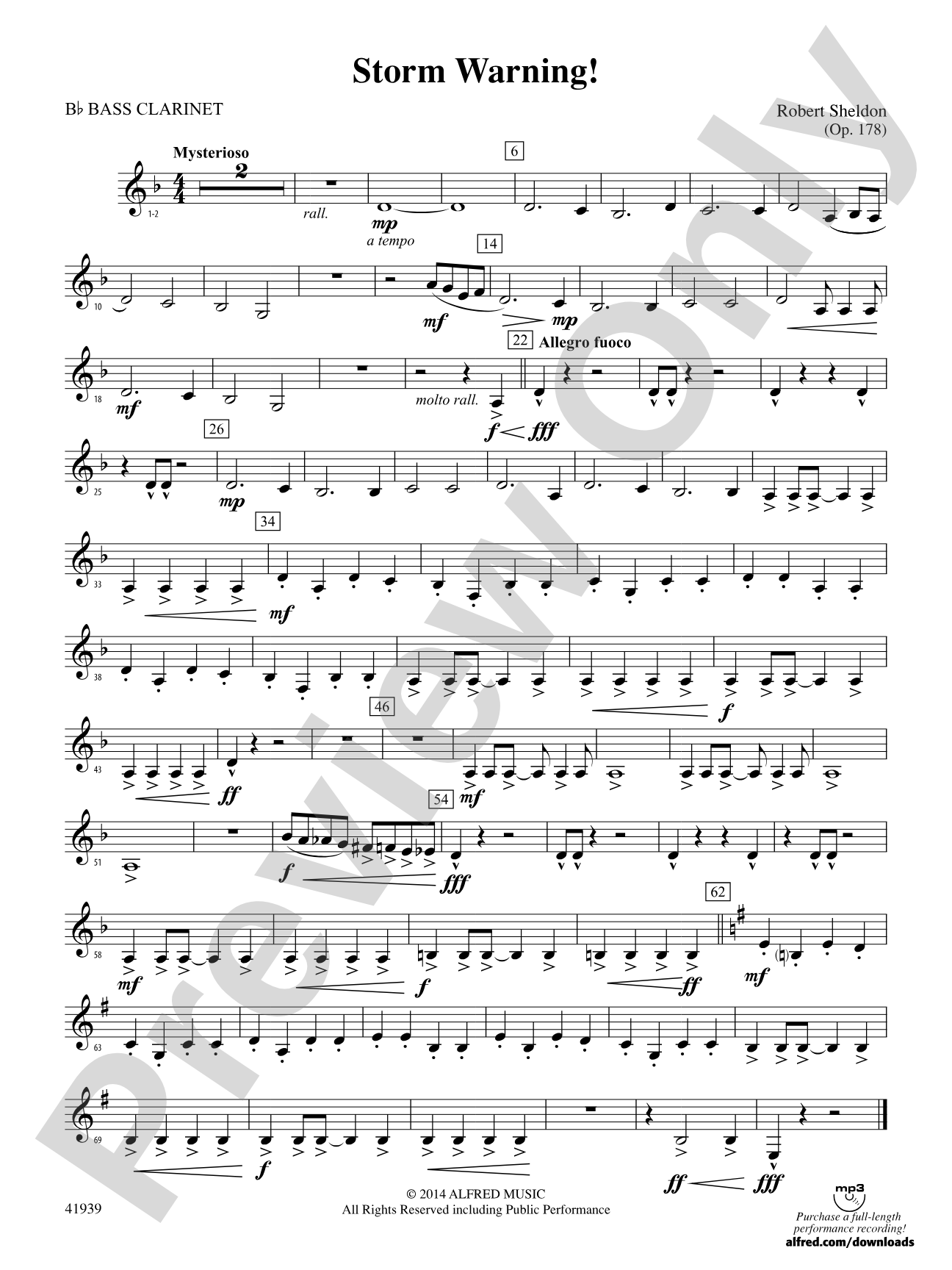 Storm Warning!: B-flat Bass Clarinet