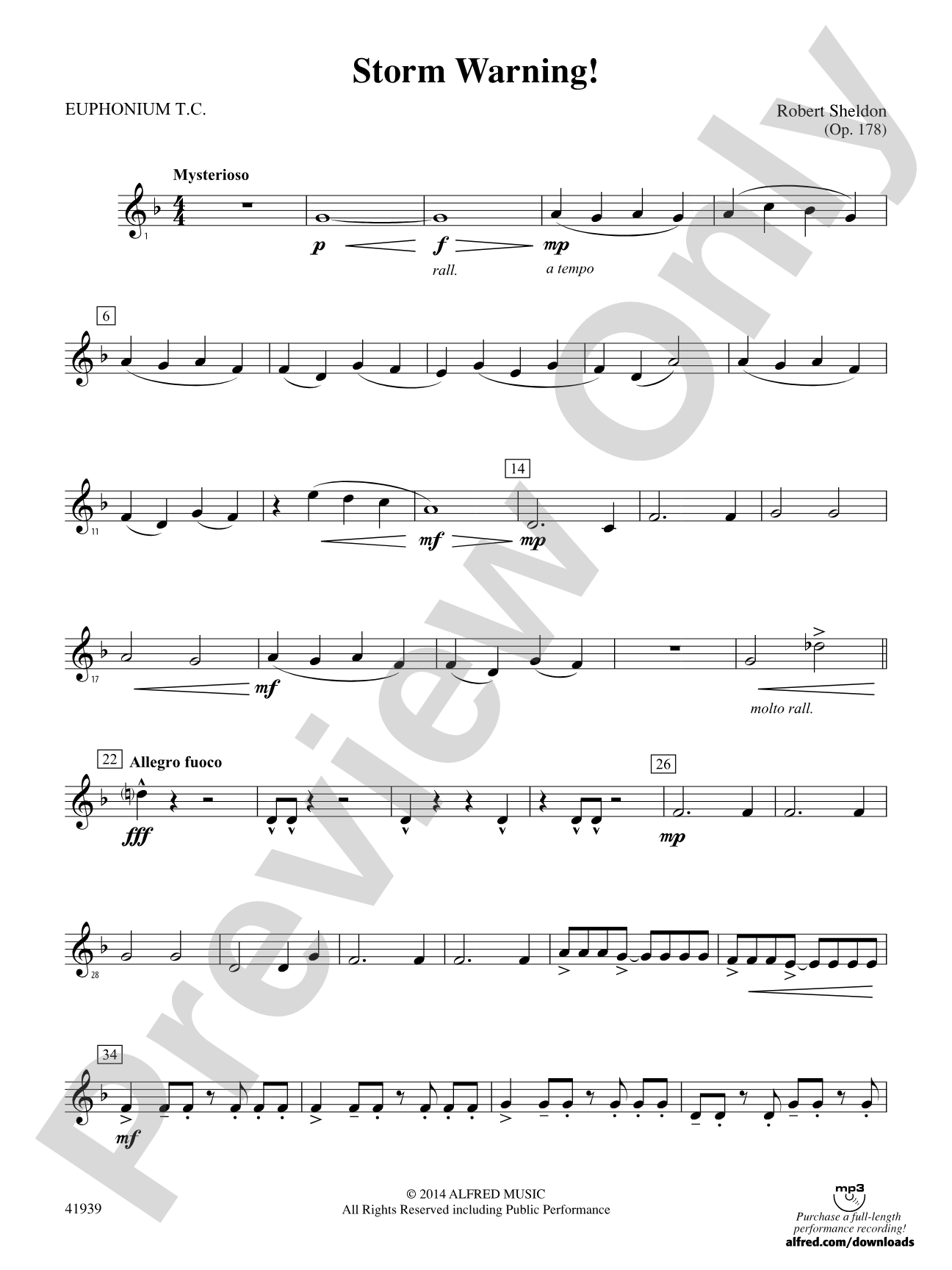 Storm Warning!: Baritone T.C.