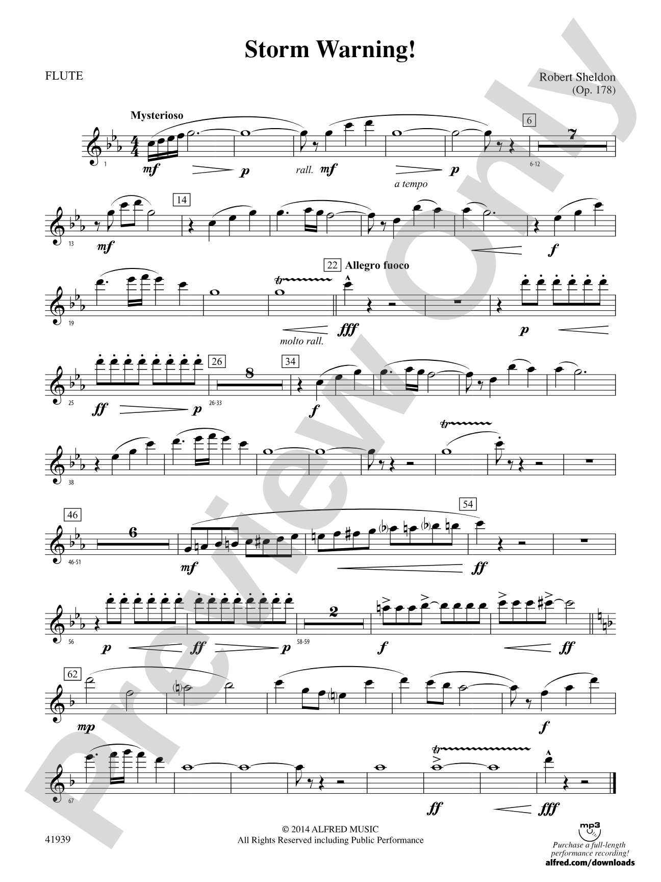 Storm Warning!: Flute