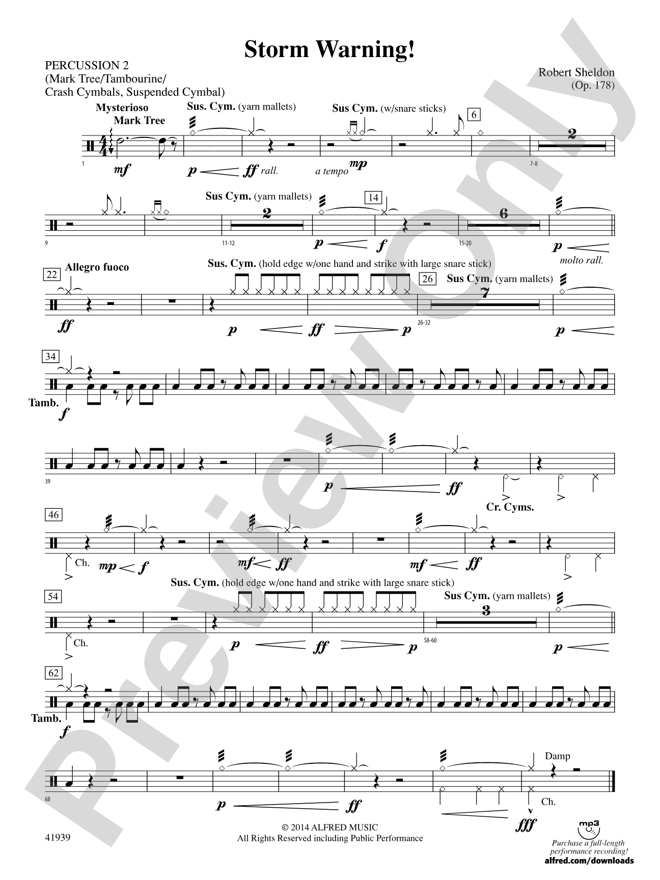 Storm Warning!: 2nd Percussion