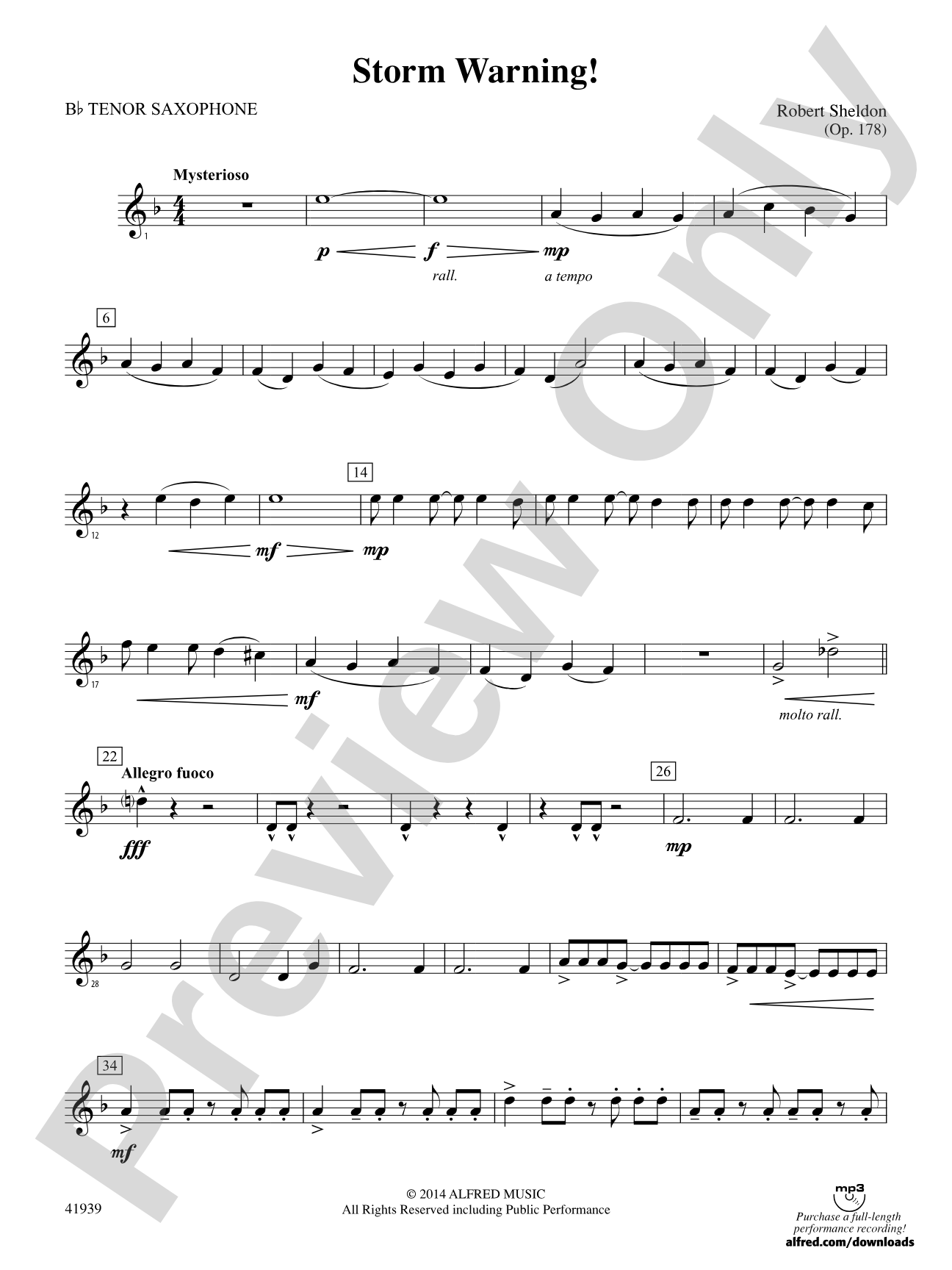 Storm Warning!: B-flat Tenor Saxophone