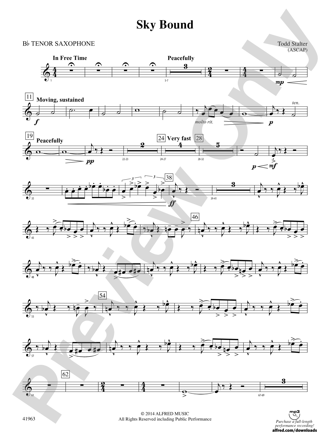 Sky Bound: B-flat Tenor Saxophone