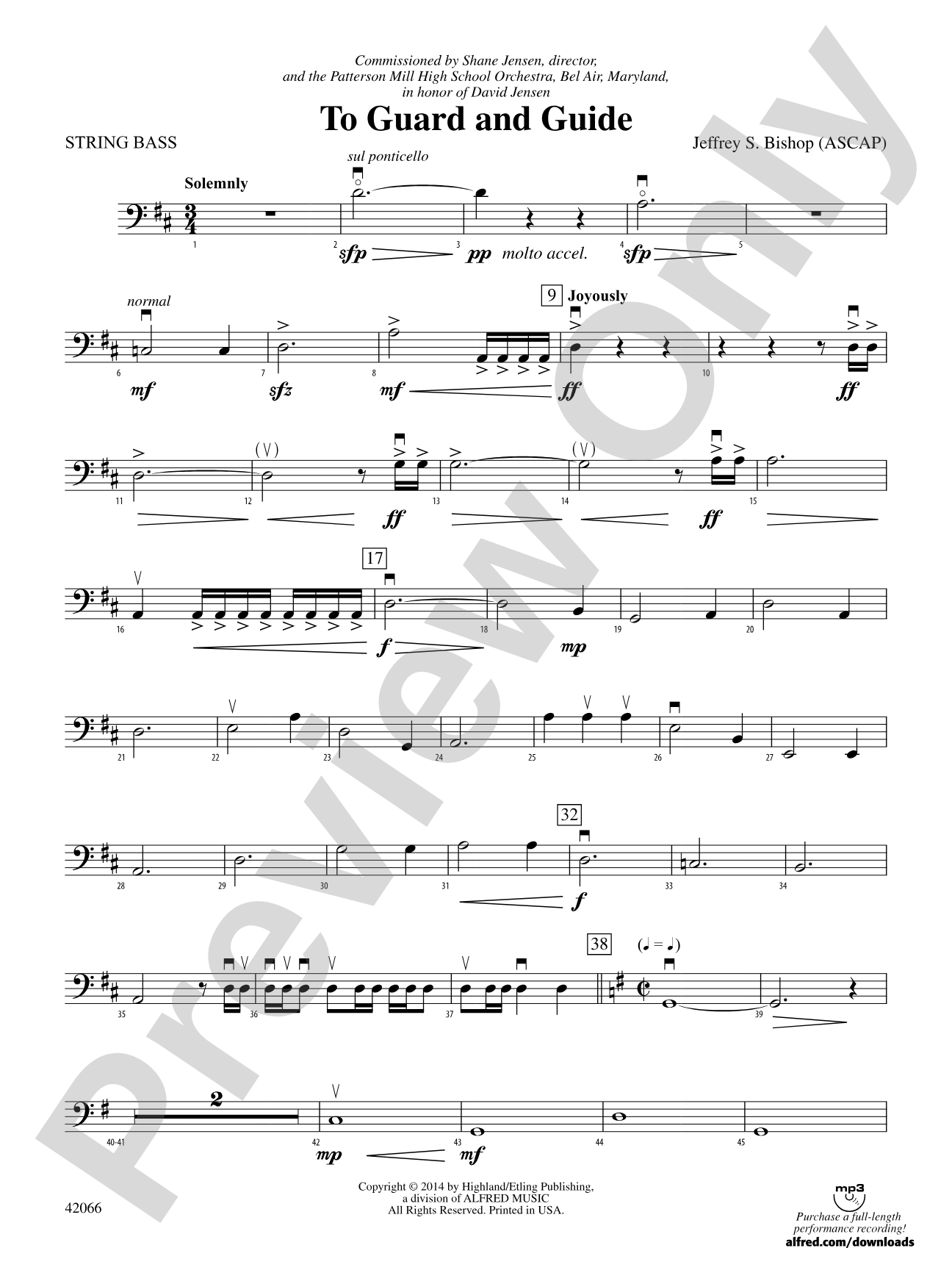 To Guard and Guide: String Bass