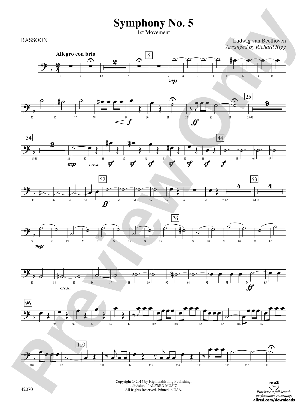 Symphony No. 5: Bassoon