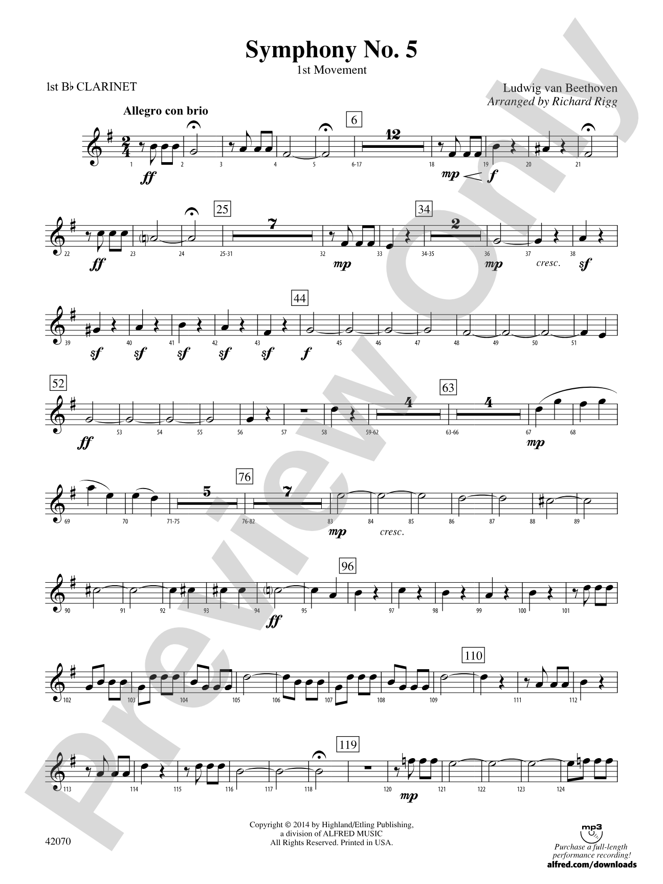Symphony No. 5: 1st B-flat Clarinet