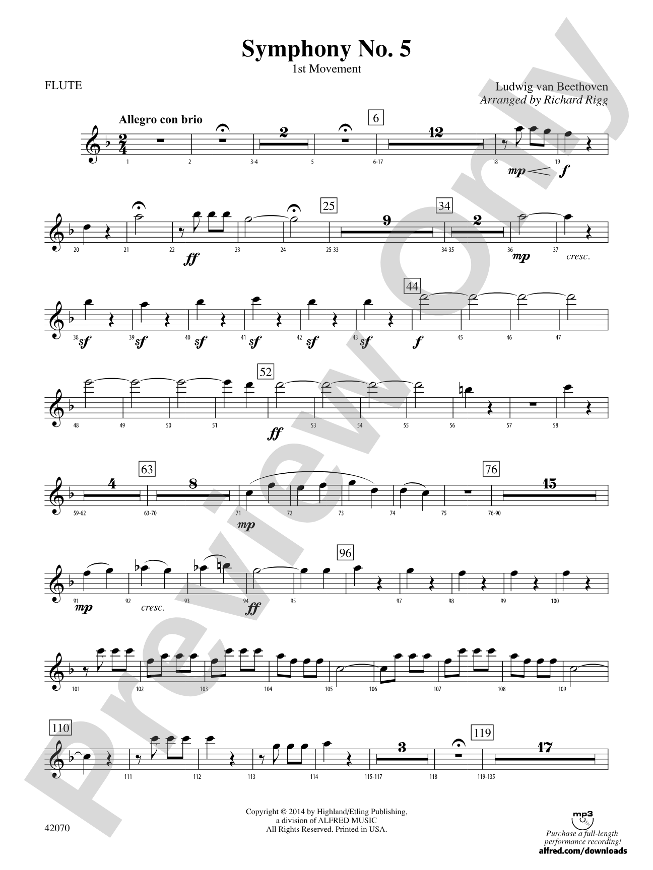 Symphony No. 5: Flute