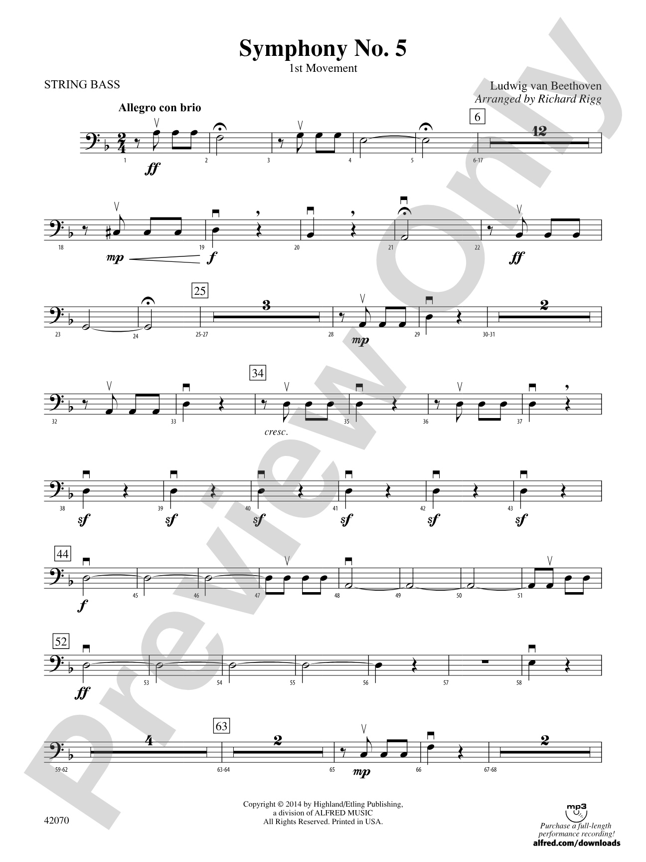 Symphony No. 5: String Bass