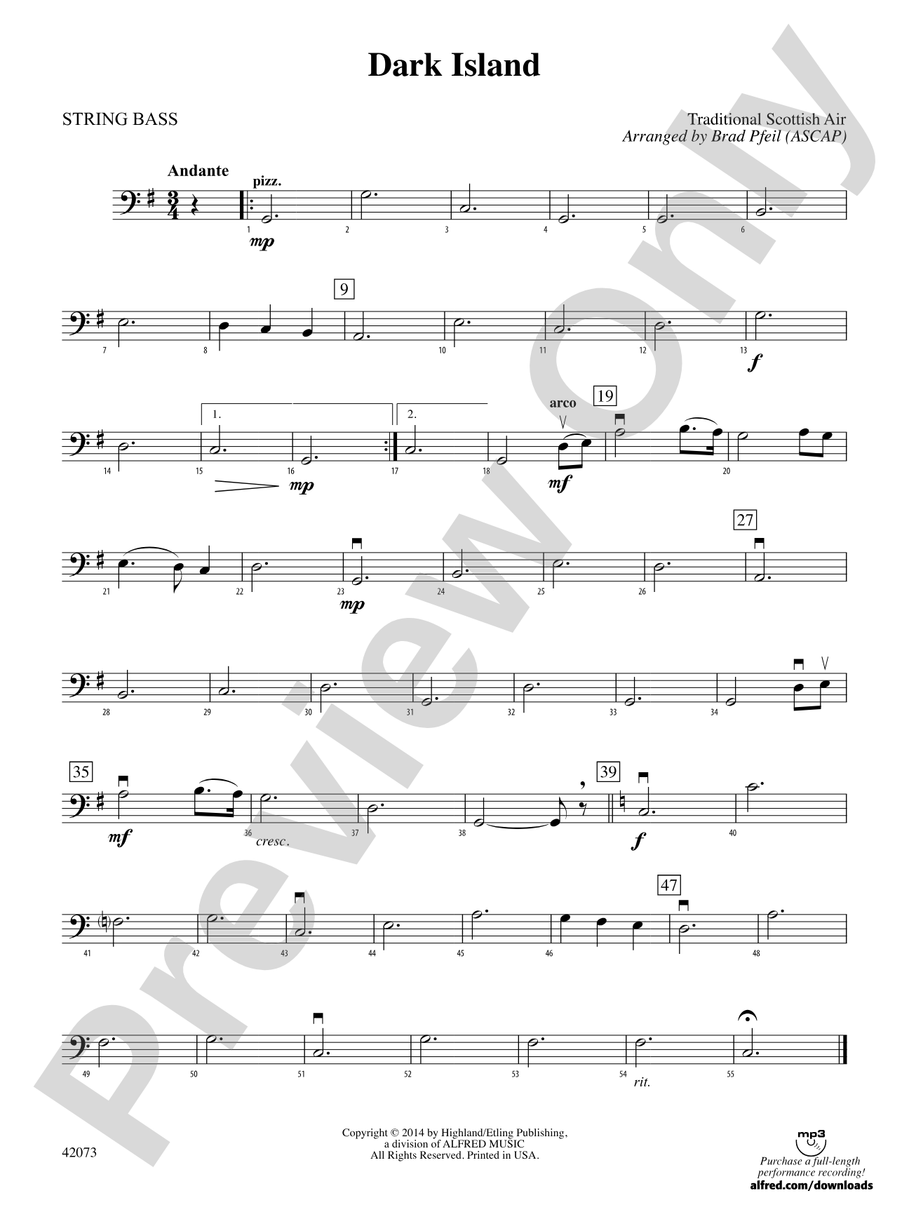 Dark Island: String Bass