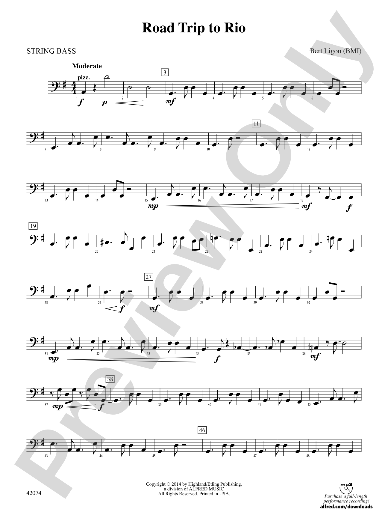 Road Trip to Rio: String Bass