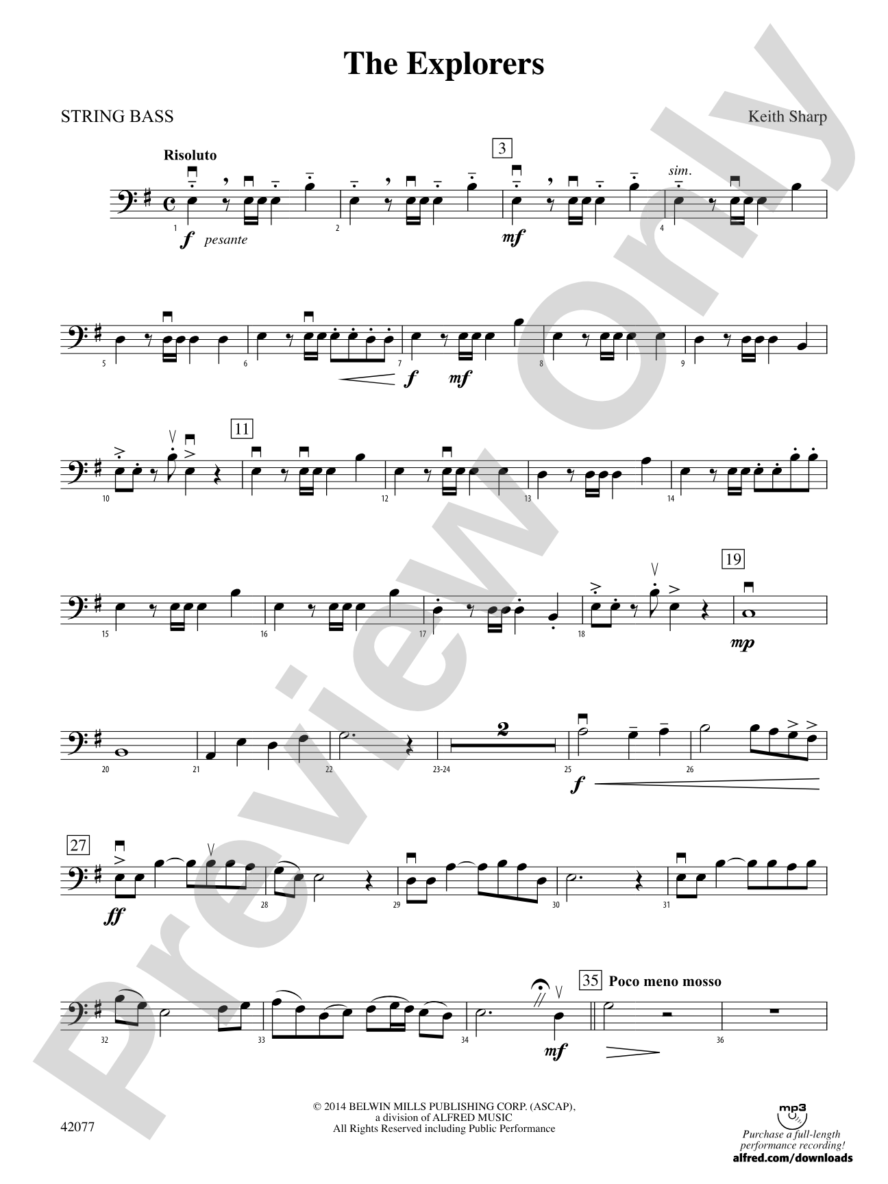 The Explorers: String Bass
