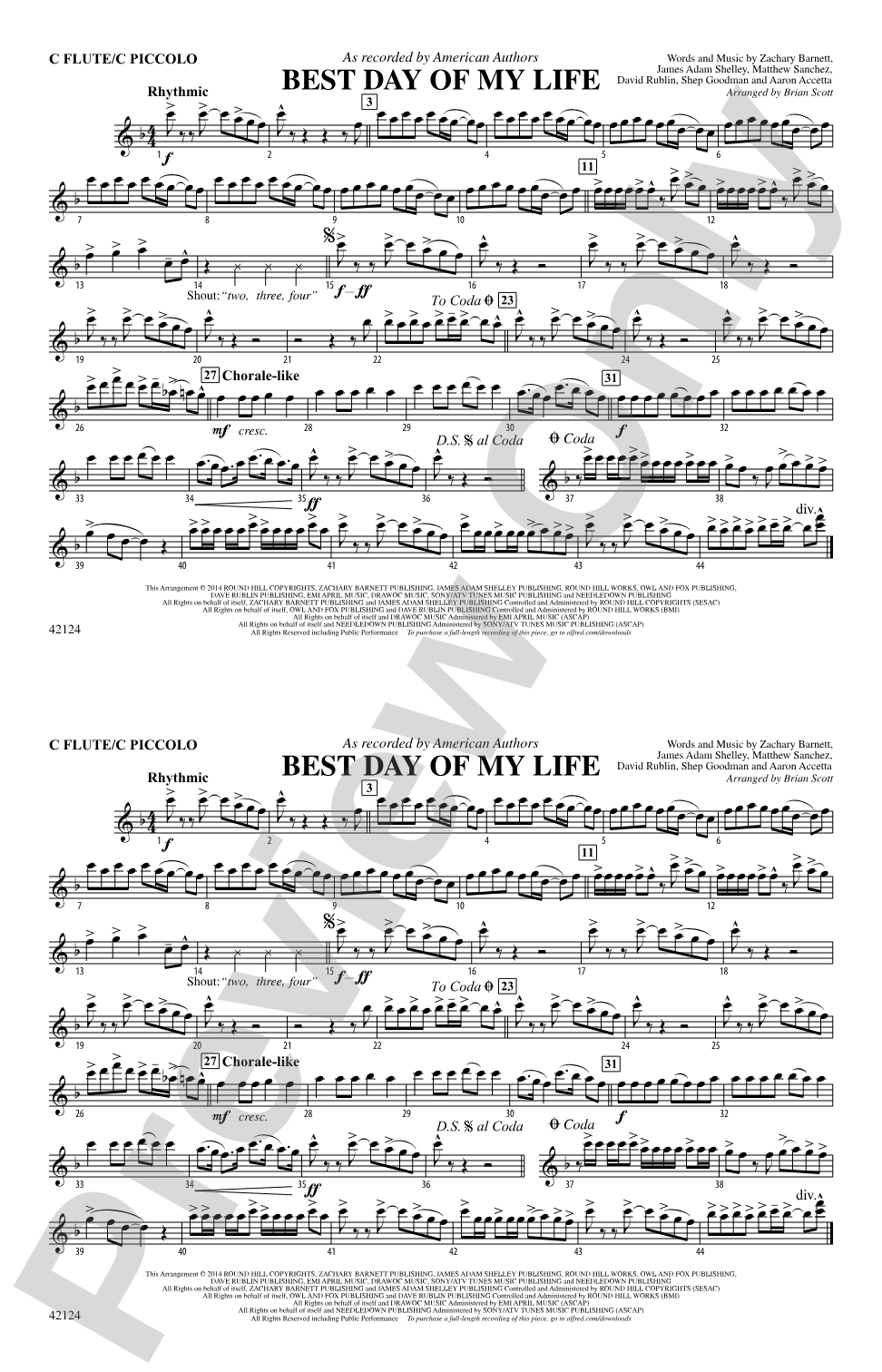 Best Day of My Life: Flute