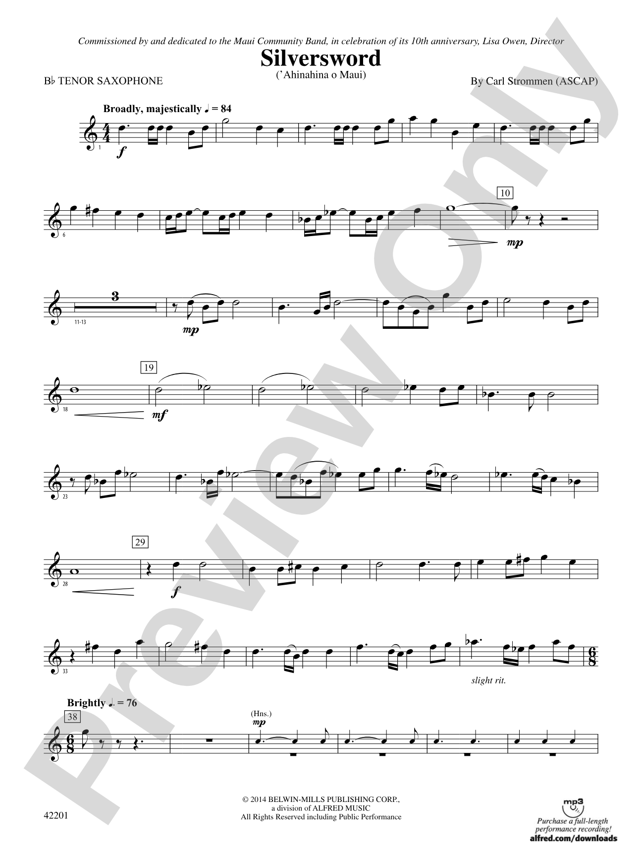 Silversword: B-flat Tenor Saxophone