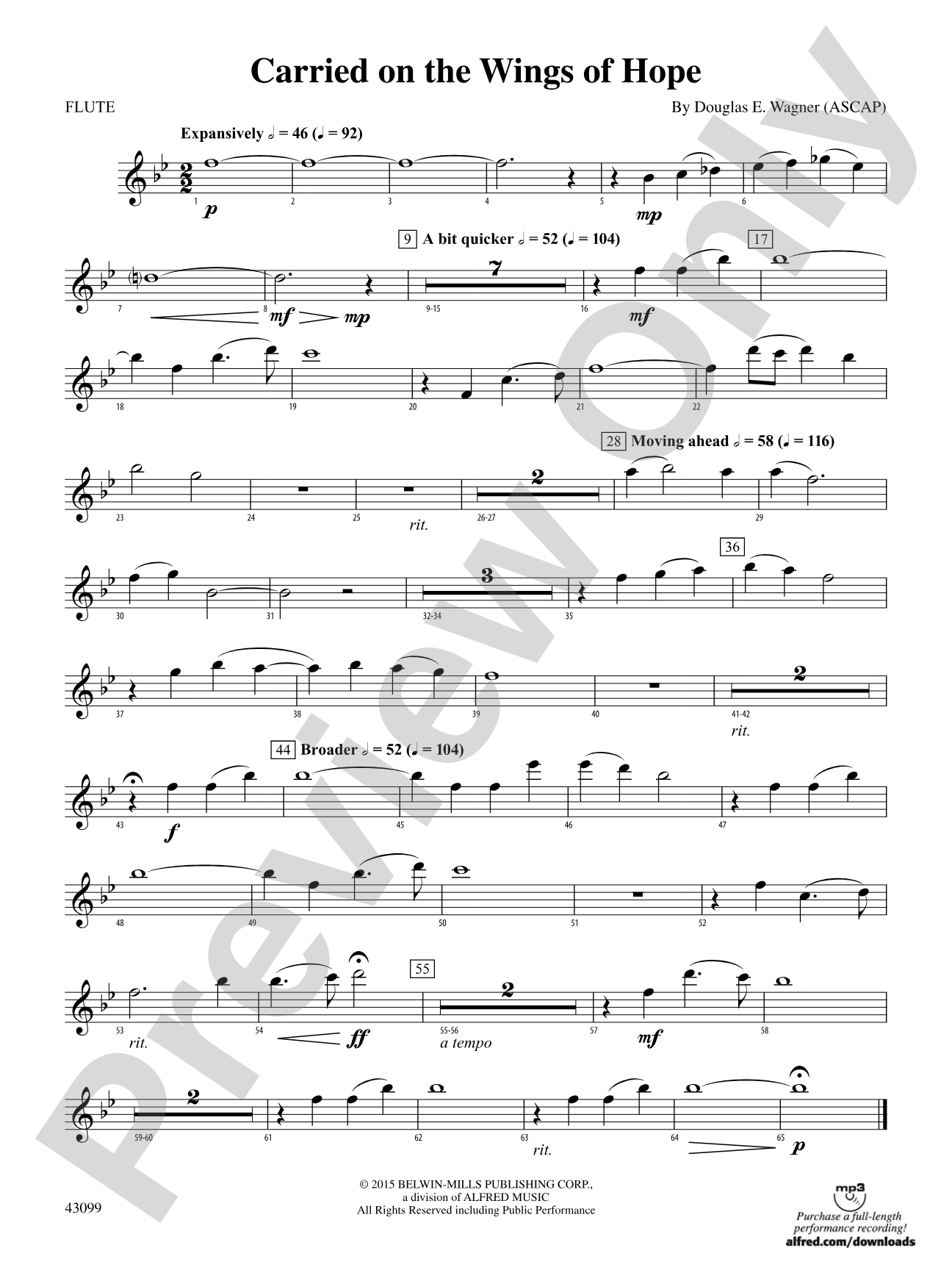 Carried on the Wings of Hope: Flute
