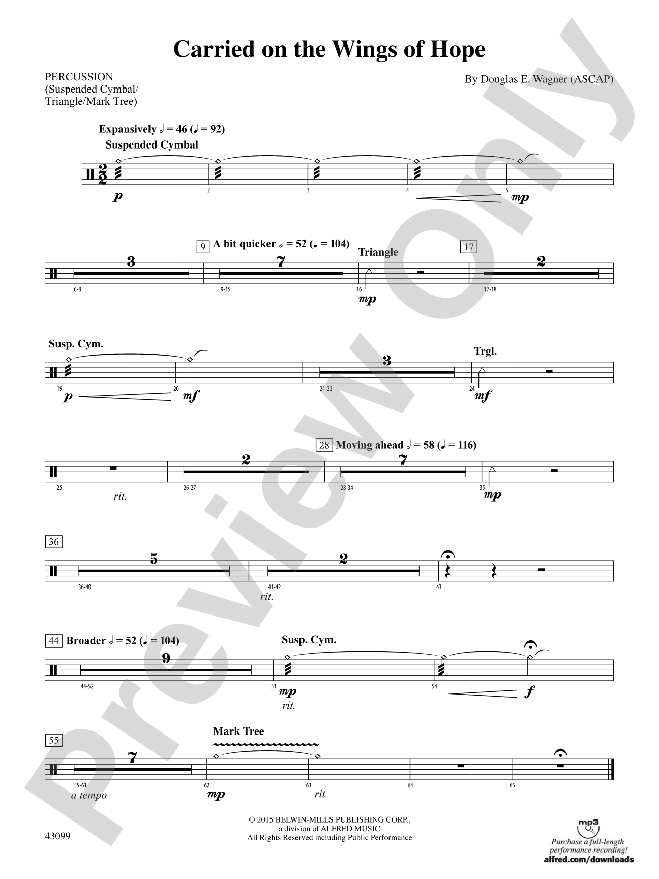 Carried on the Wings of Hope: 1st Percussion