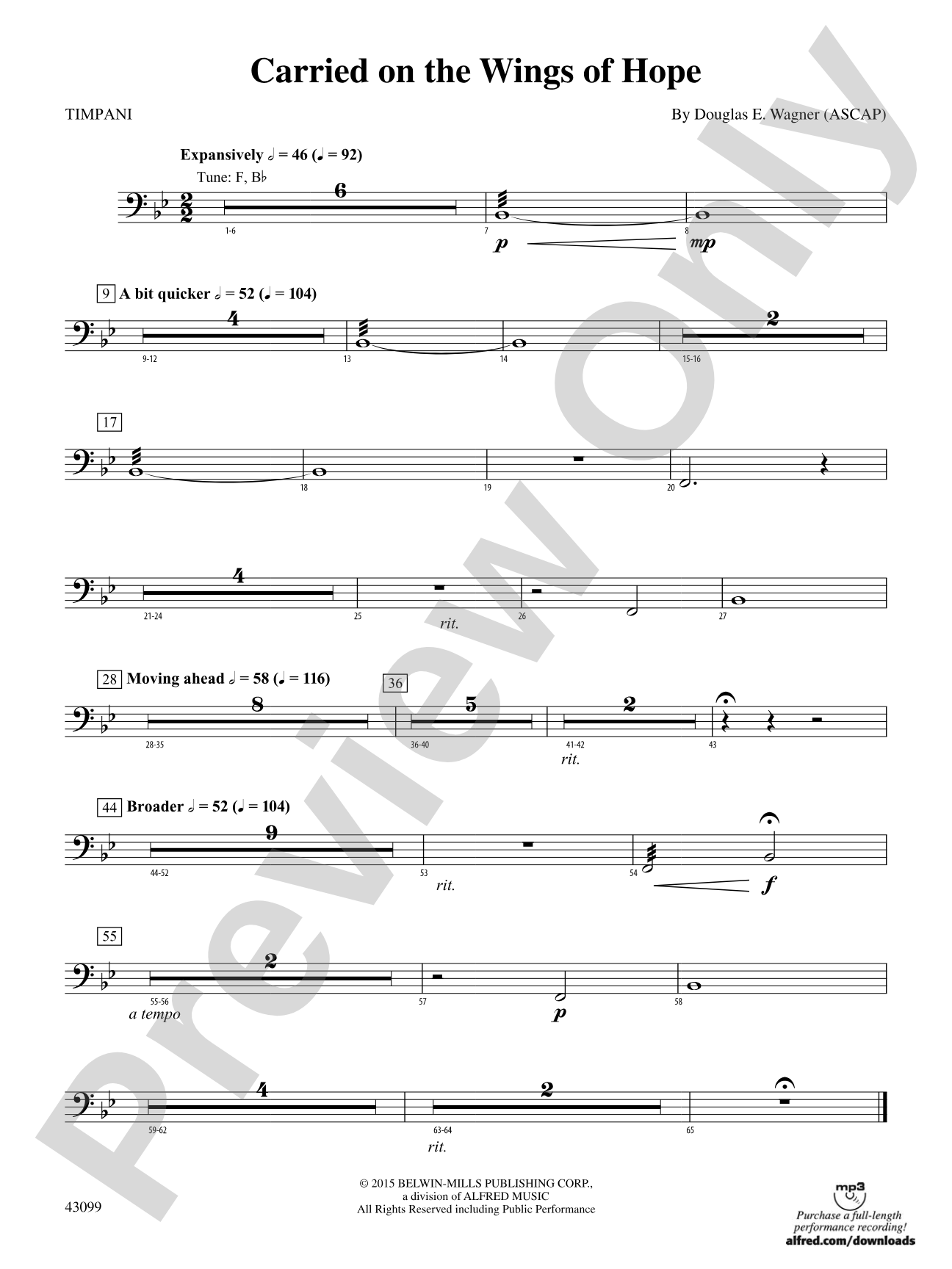 Carried on the Wings of Hope: Timpani