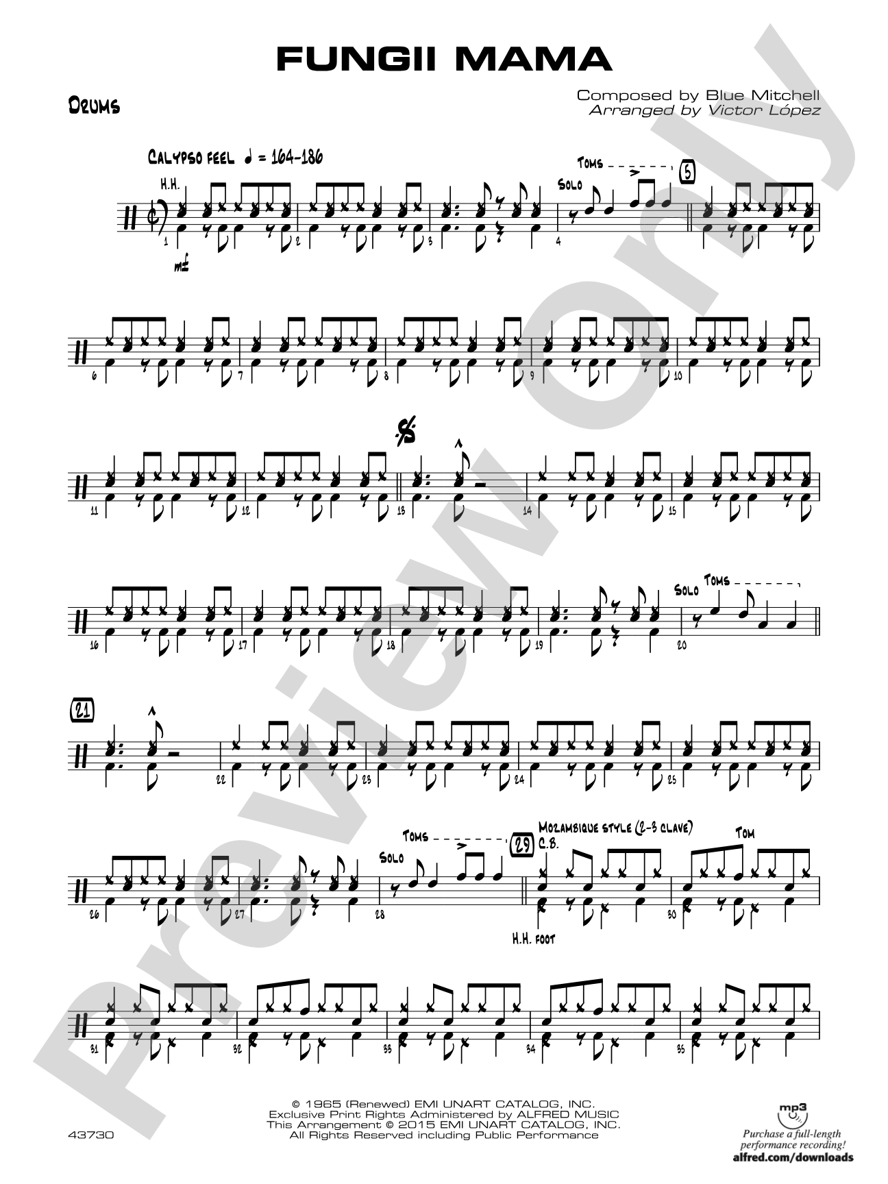 Fungii Mama: Drums