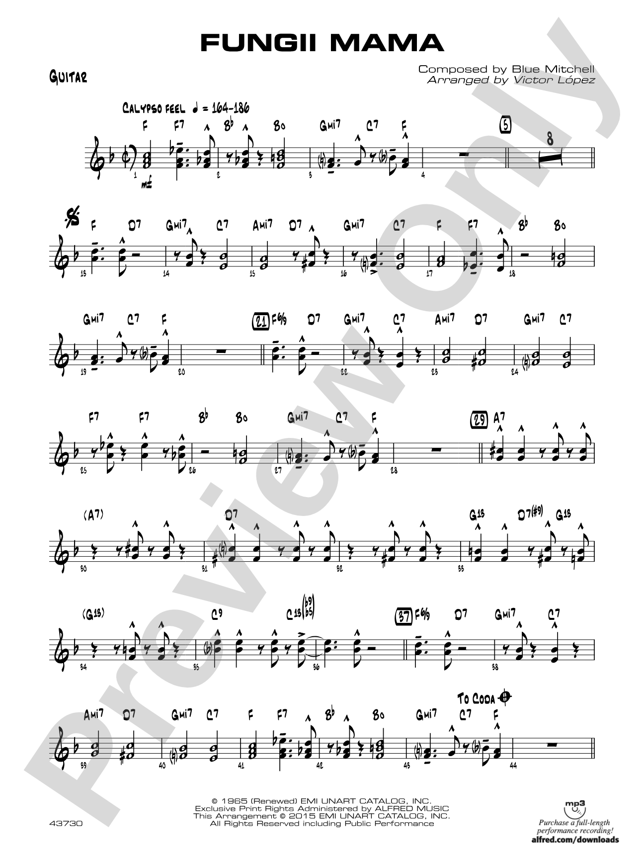Fungii Mama: Guitar