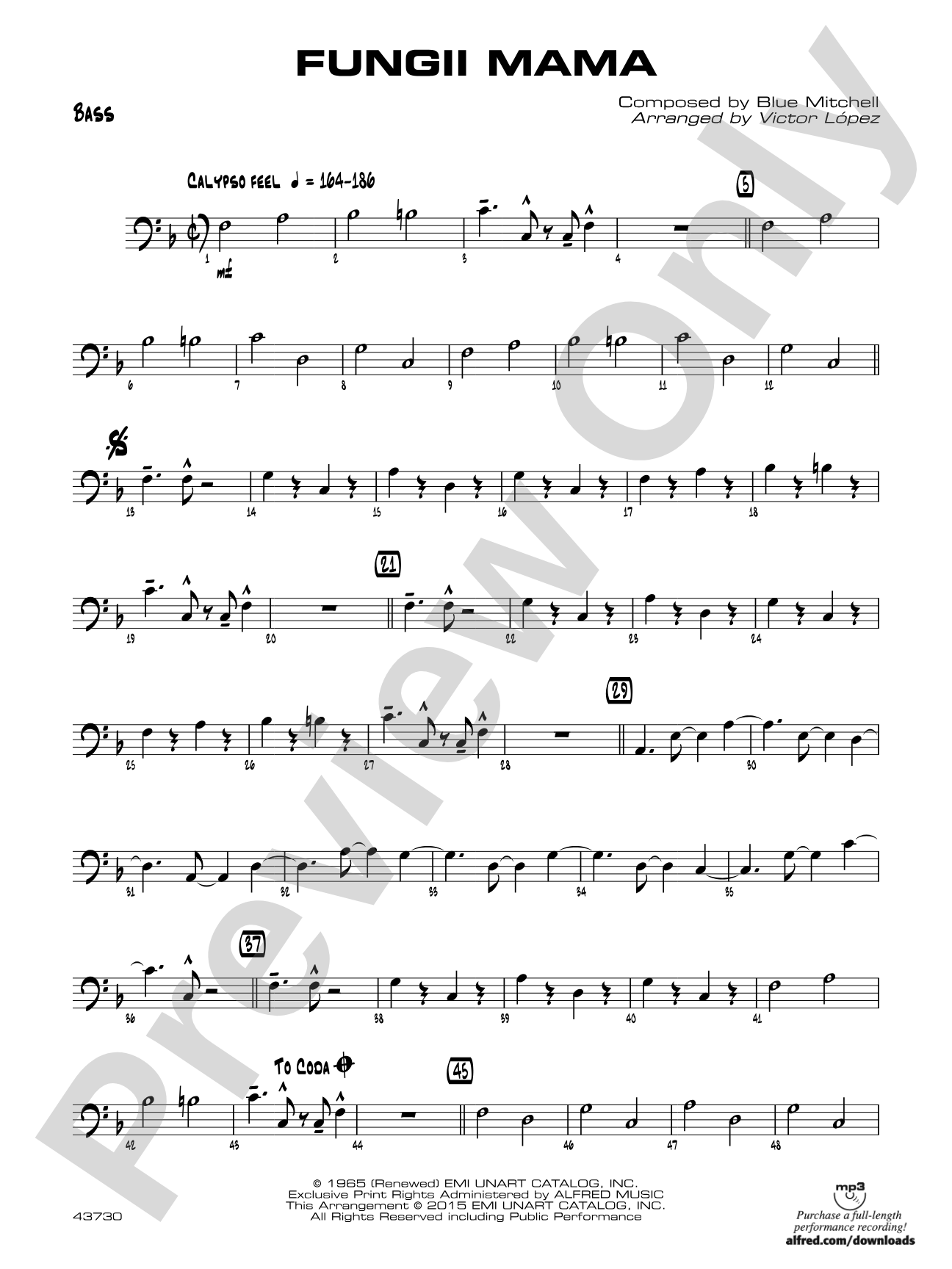 Fungii Mama: String Bass