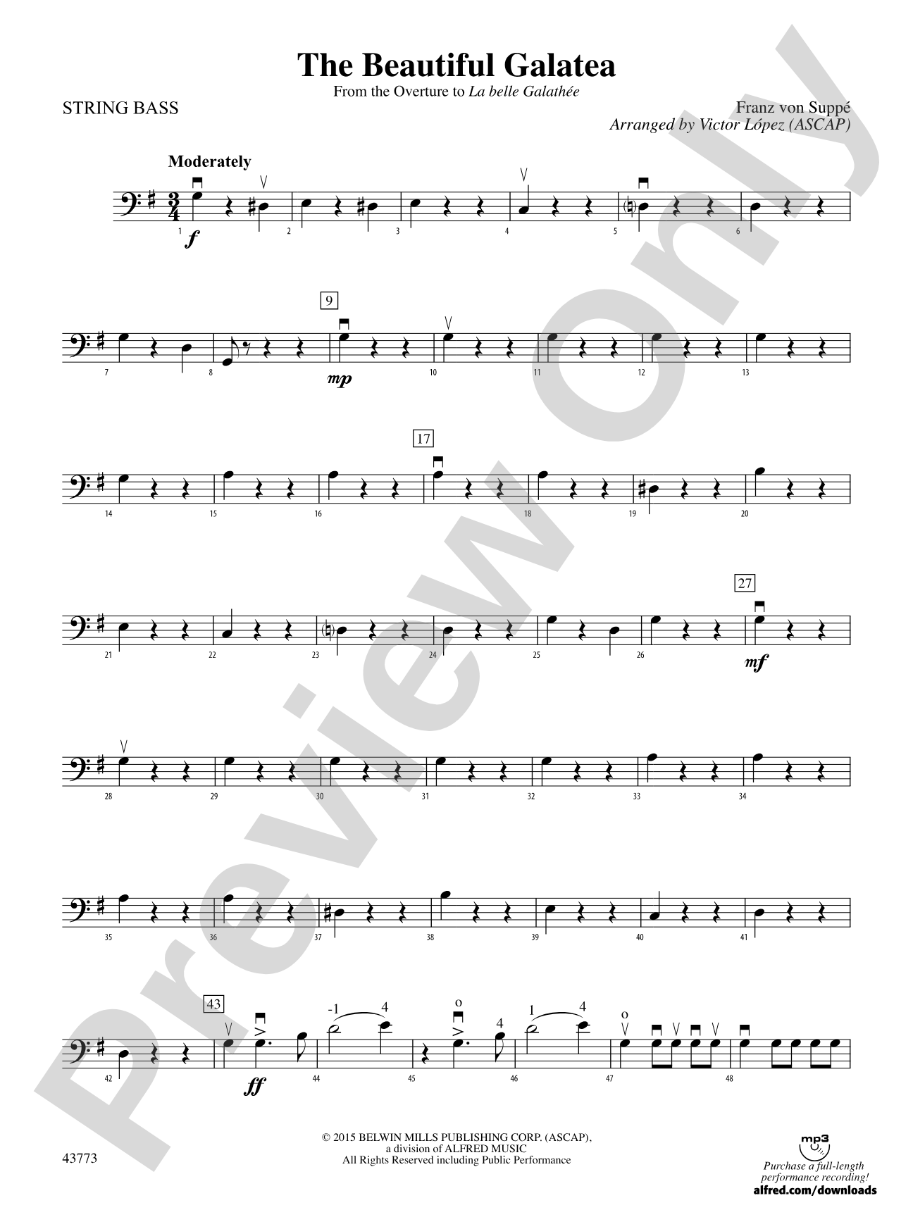 The Beautiful Galatea: String Bass