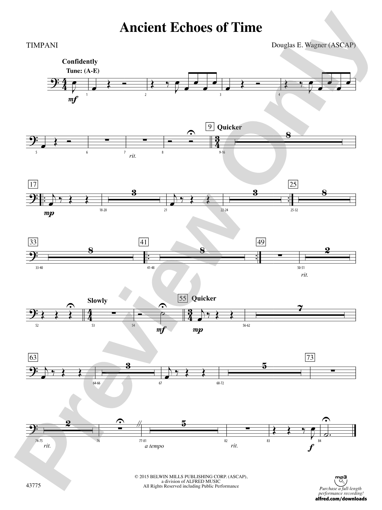 Ancient Echoes of Time: Timpani